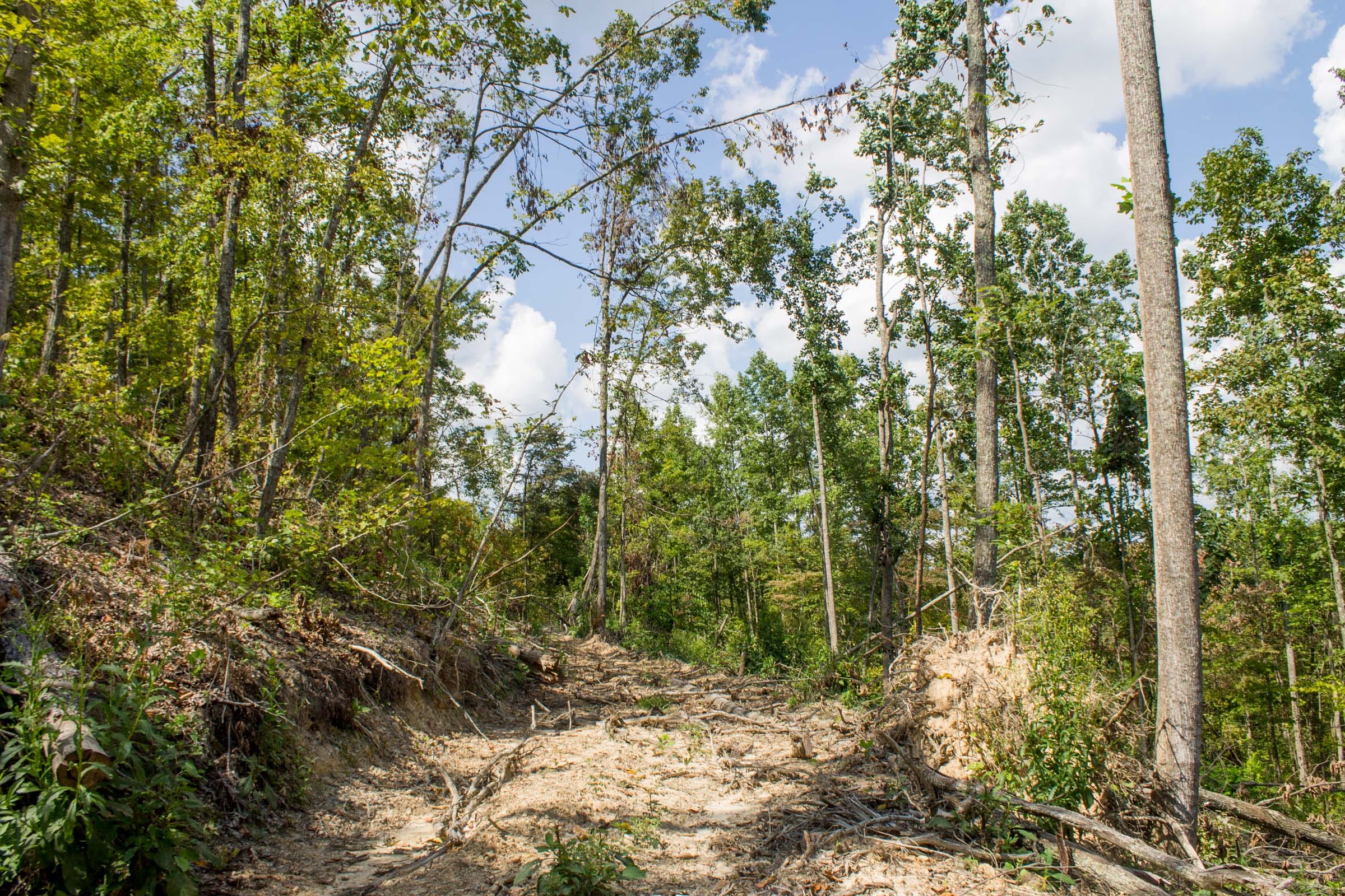 Buck Run Ridge Tract 7 photo 9