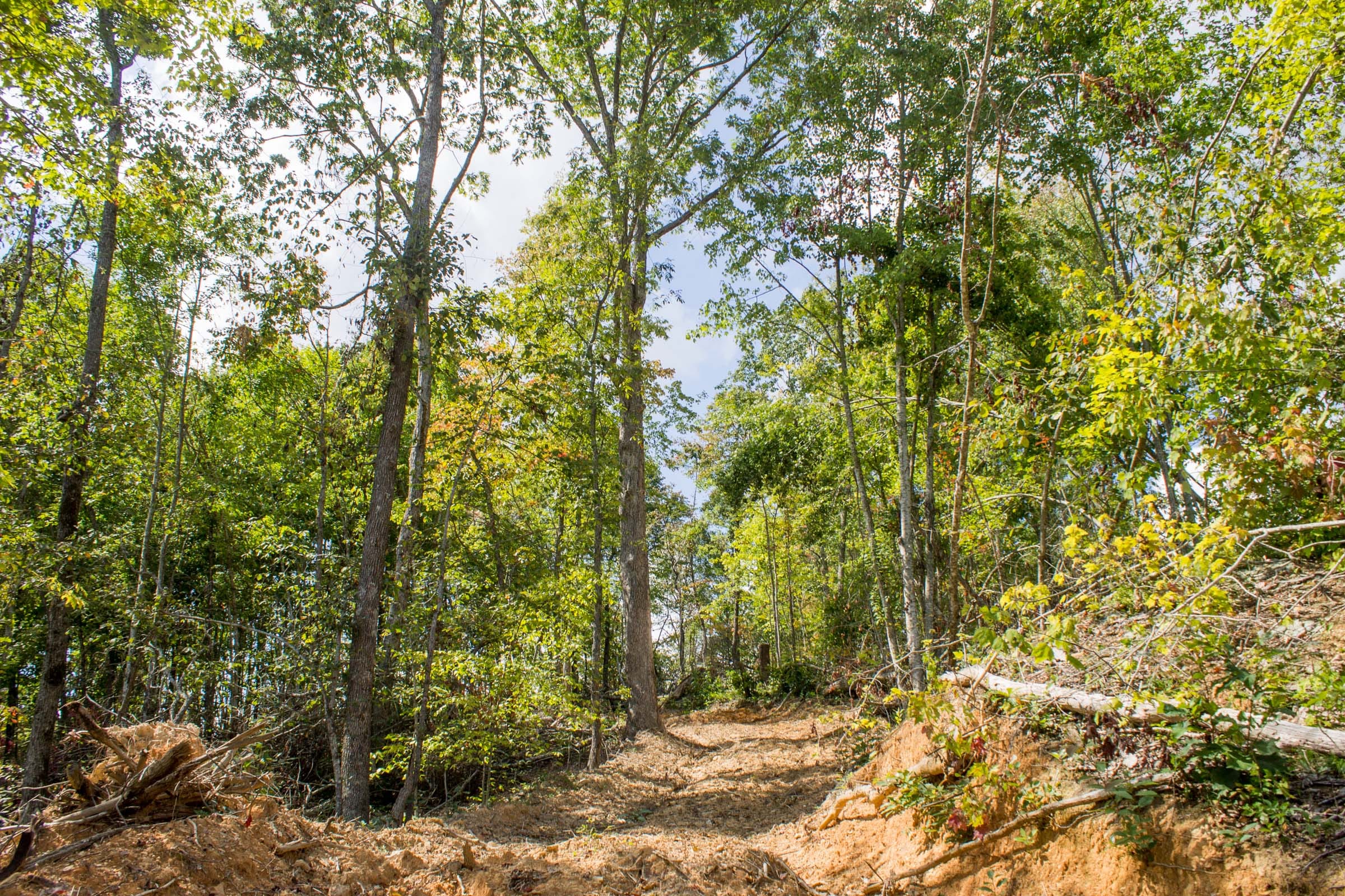 Buck Run Ridge Tract 7 photo 11