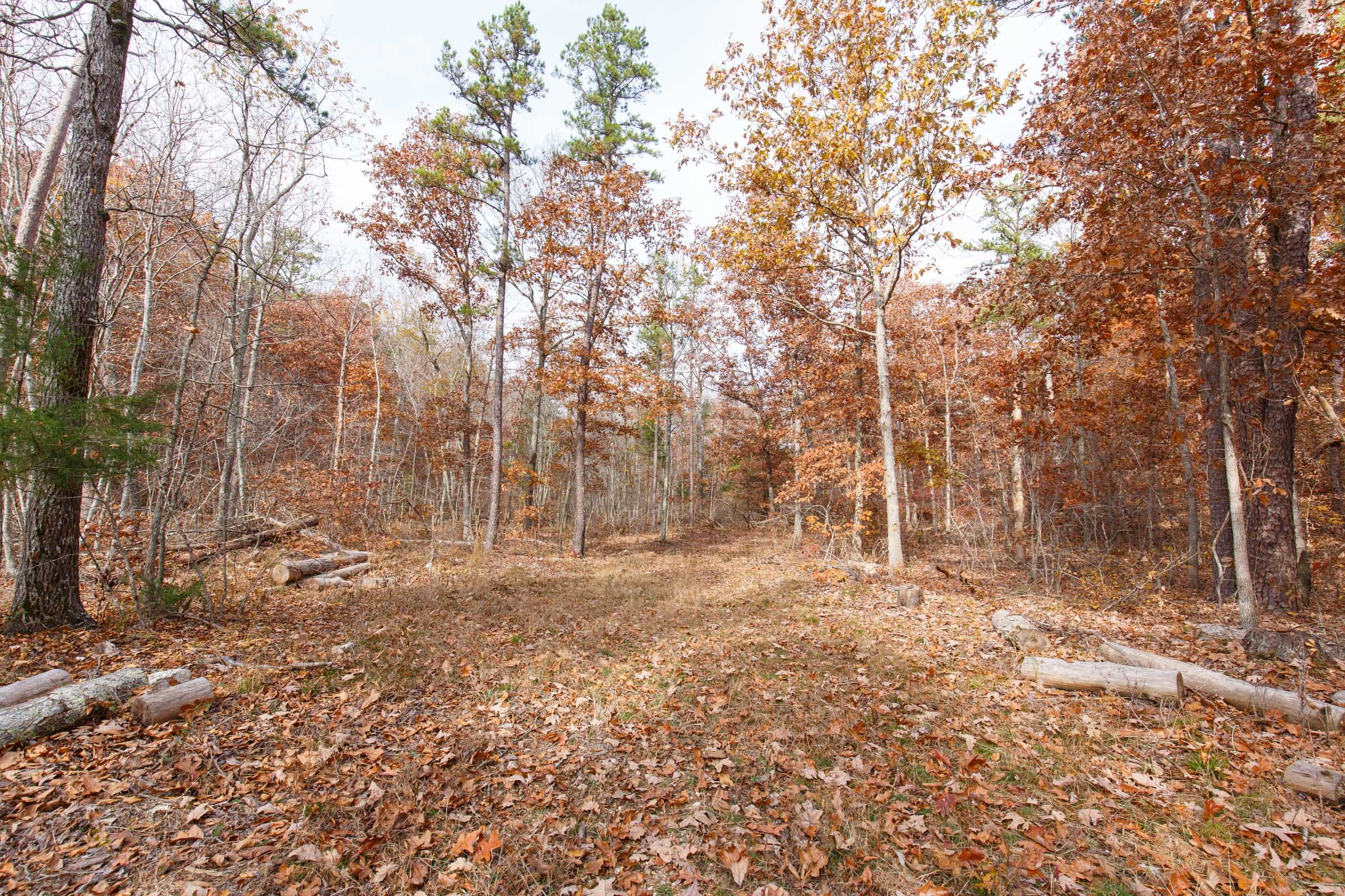 Hawkcrest Tract 47 photo 7
