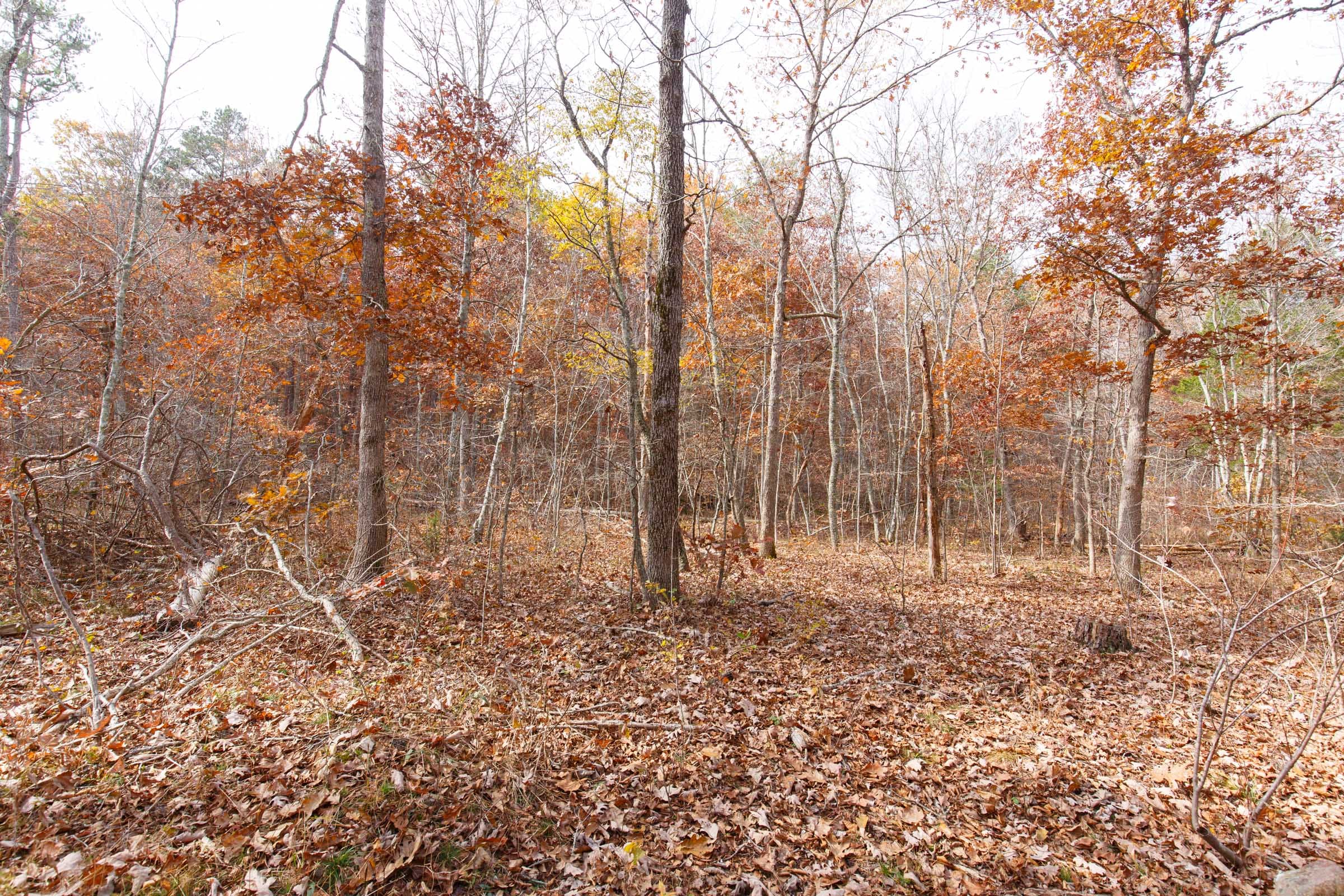 Hawkcrest Tract 47 photo 1