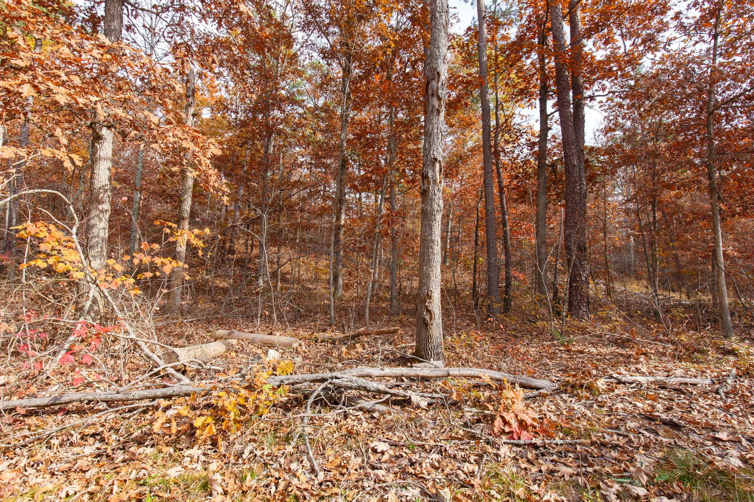 Hawkcrest Tract 47 photo 4