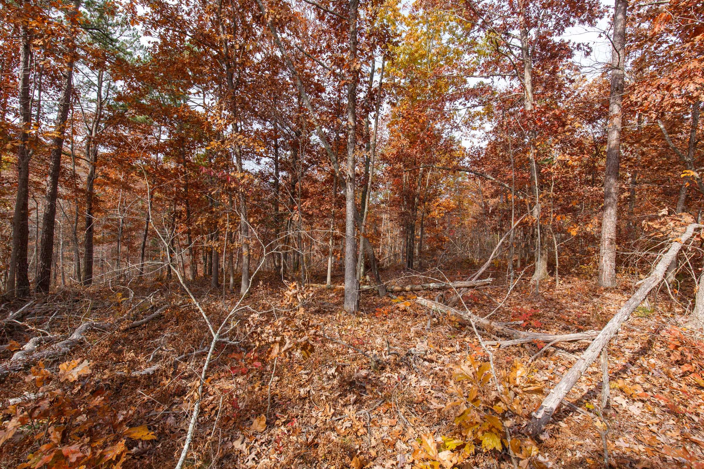Hawkcrest Tract 47 photo 3