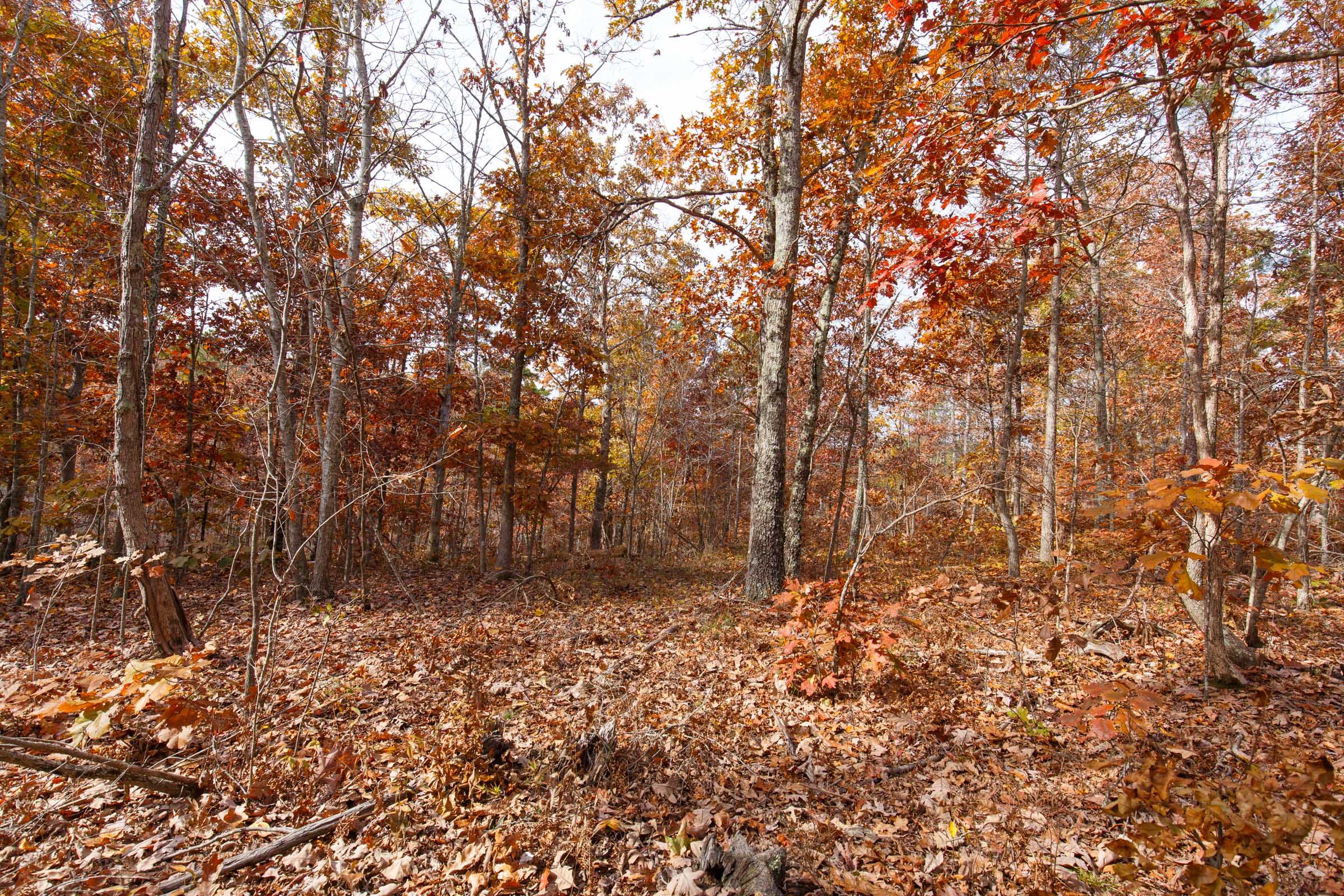 Hawkcrest Tract 47 photo 5