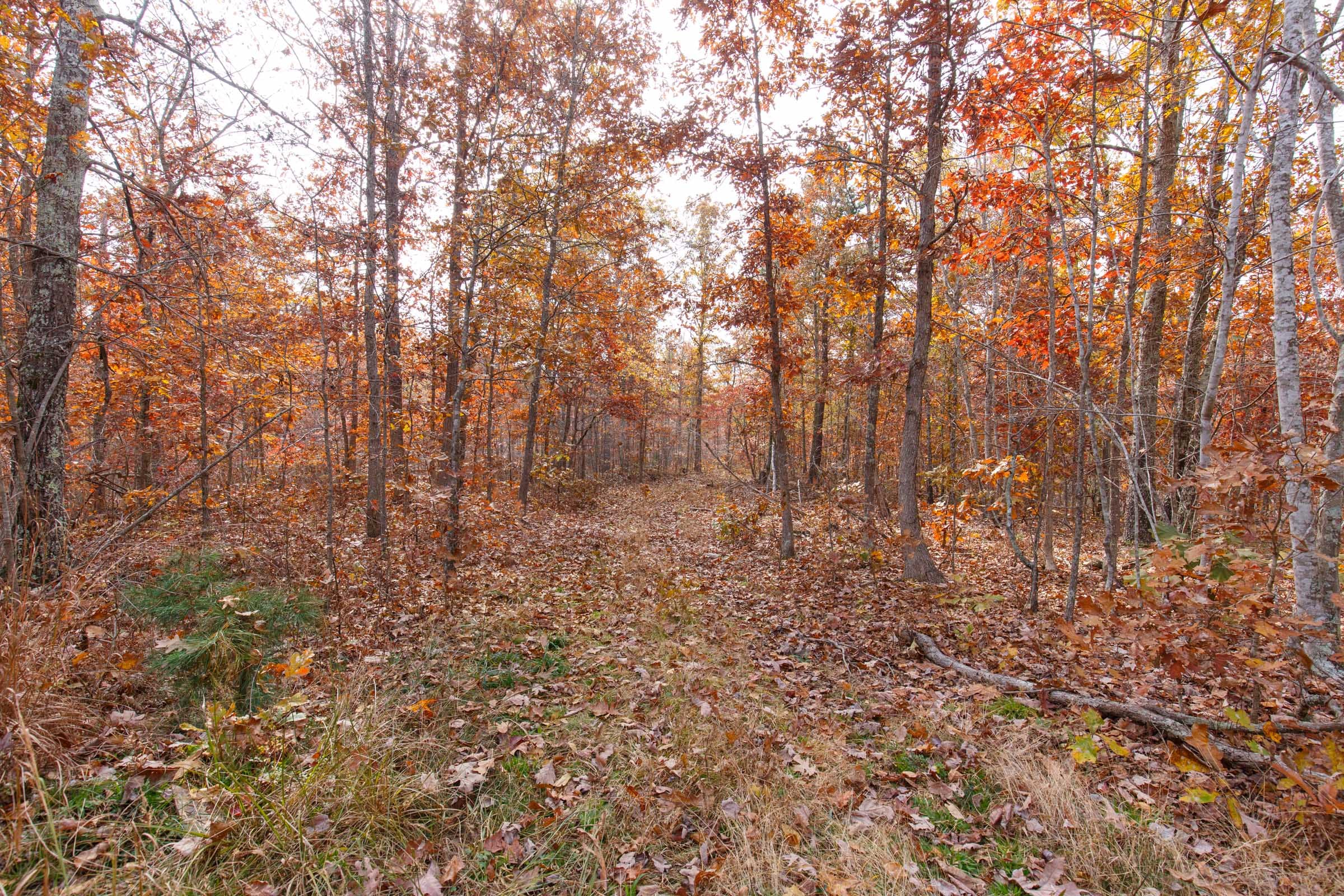 Hawkcrest Tract 47 photo 2