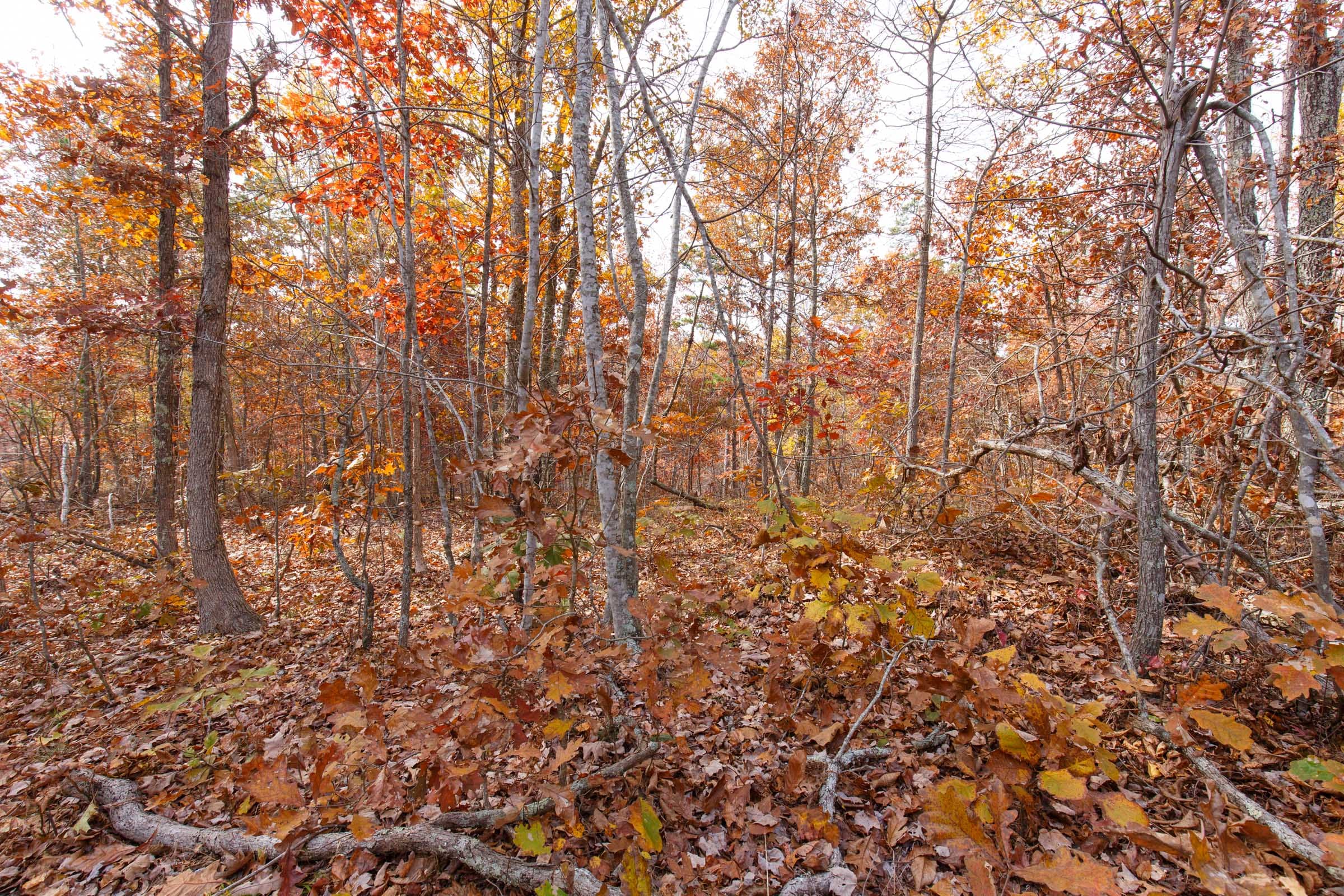 Hawkcrest Tract 47 photo 6