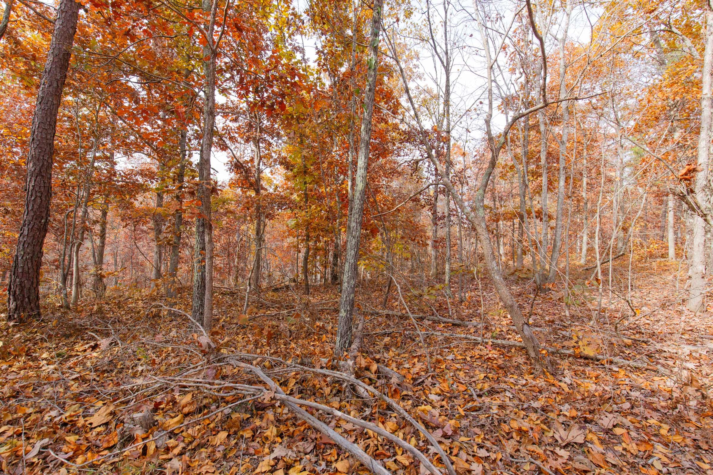 Hawkcrest Tract 47 photo 9