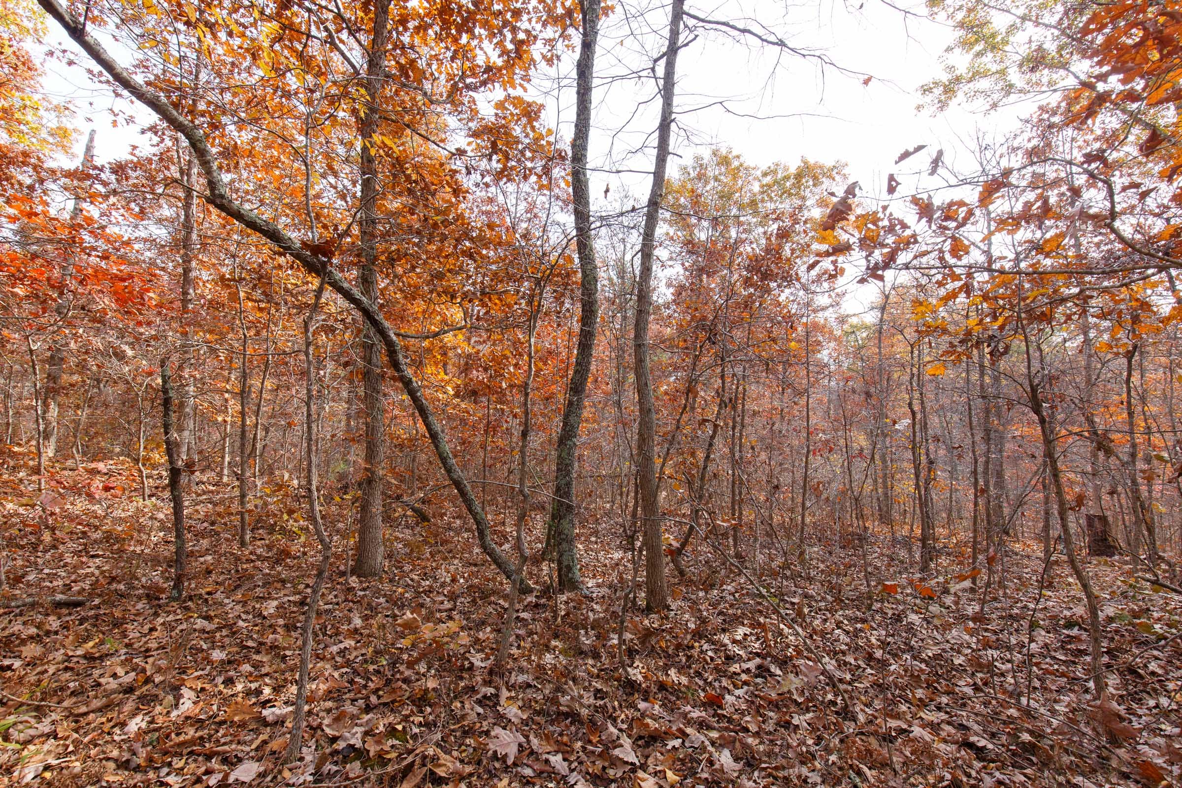 Hawkcrest Tract 47 photo 10