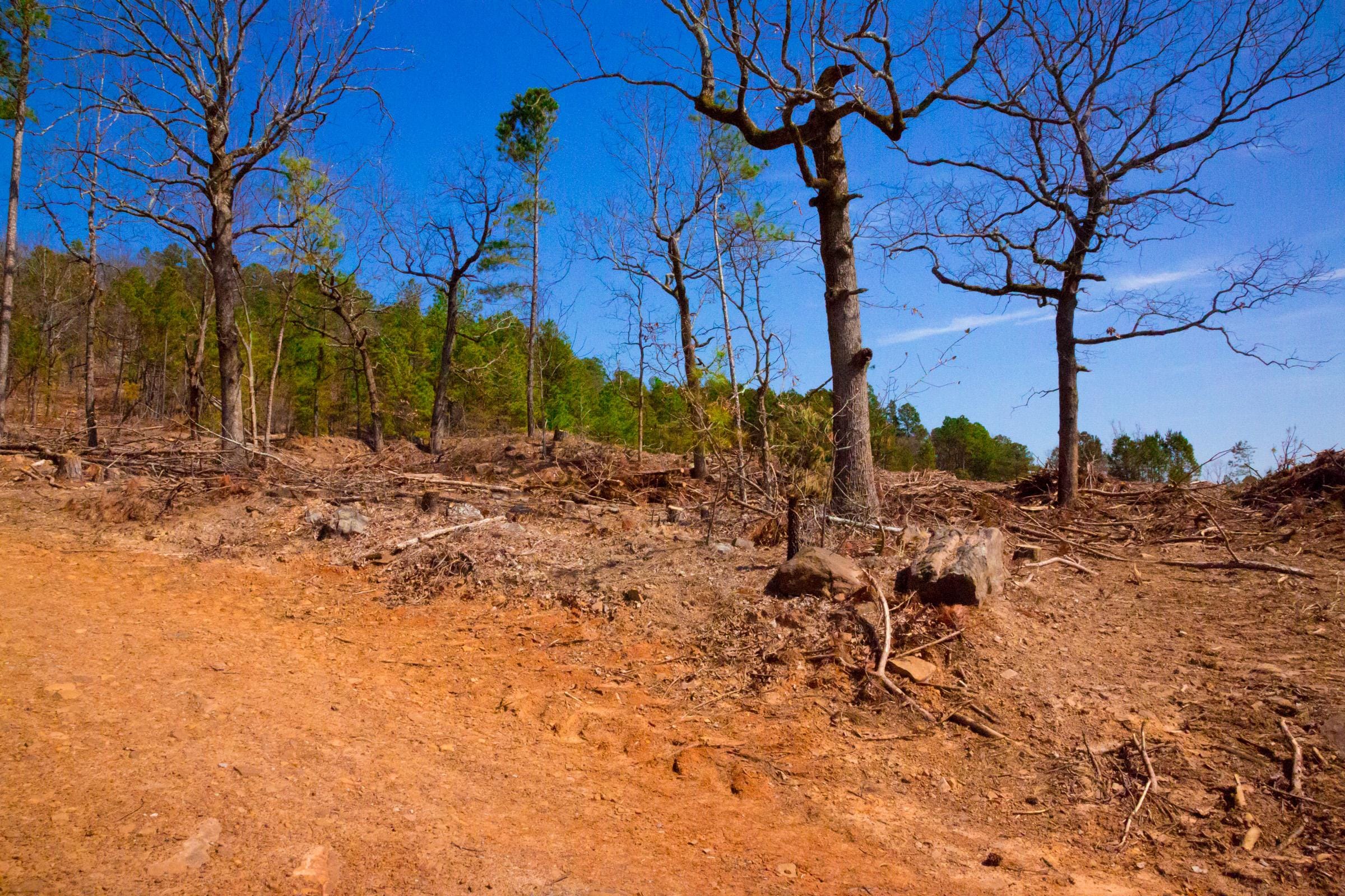 Stone Creek Phase II Tract 100 photo 4