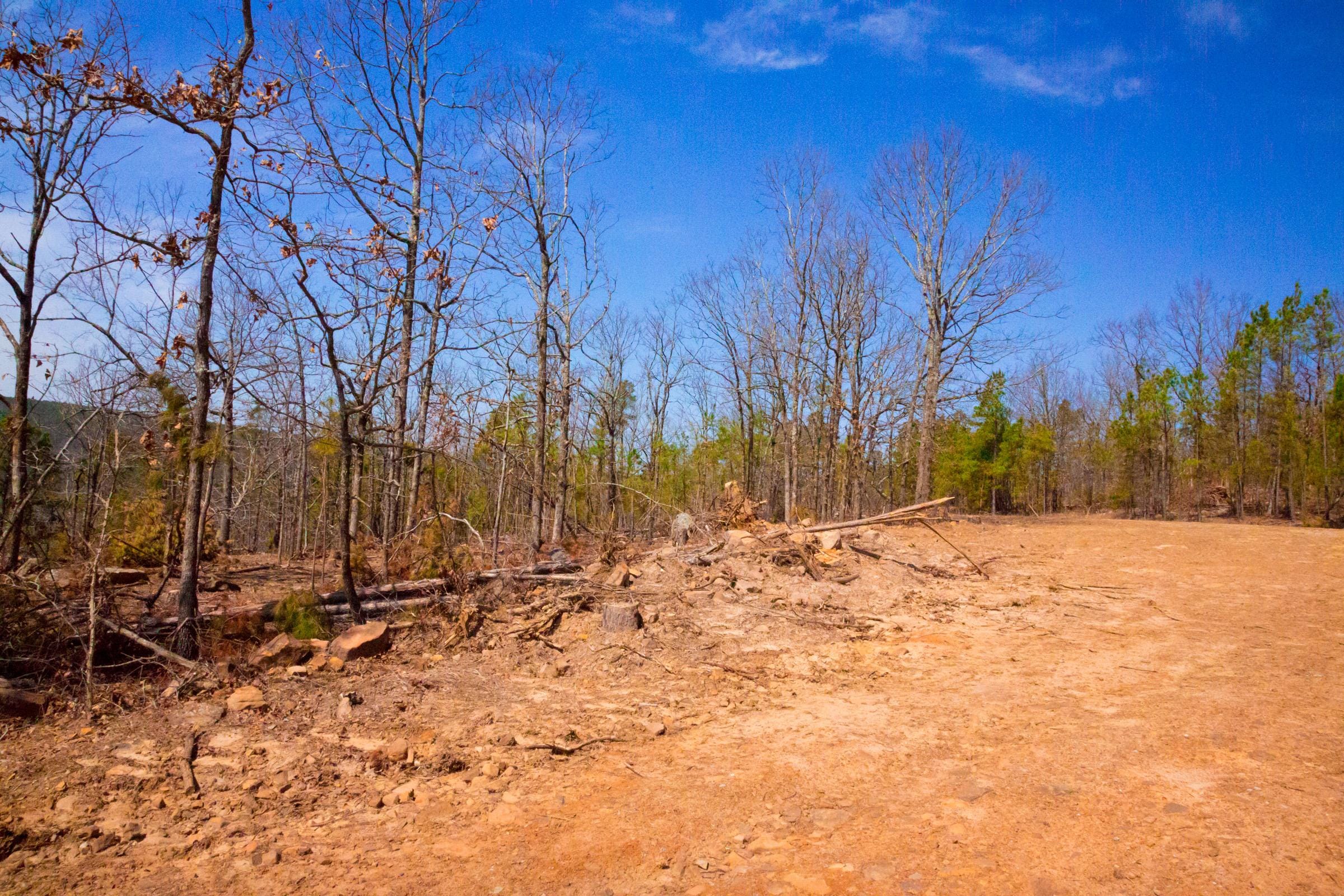 Stone Creek Phase II Tract 100 photo 5