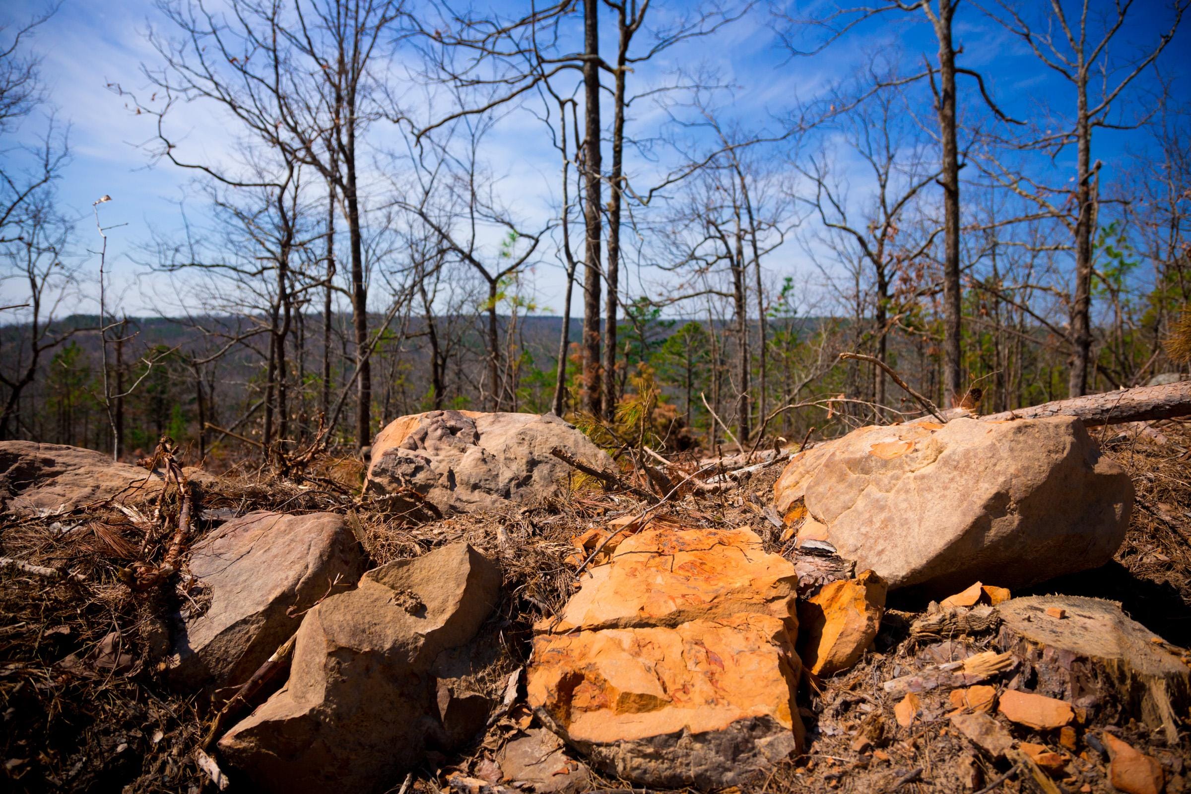 Stone Creek Phase II Tract 100 photo 6