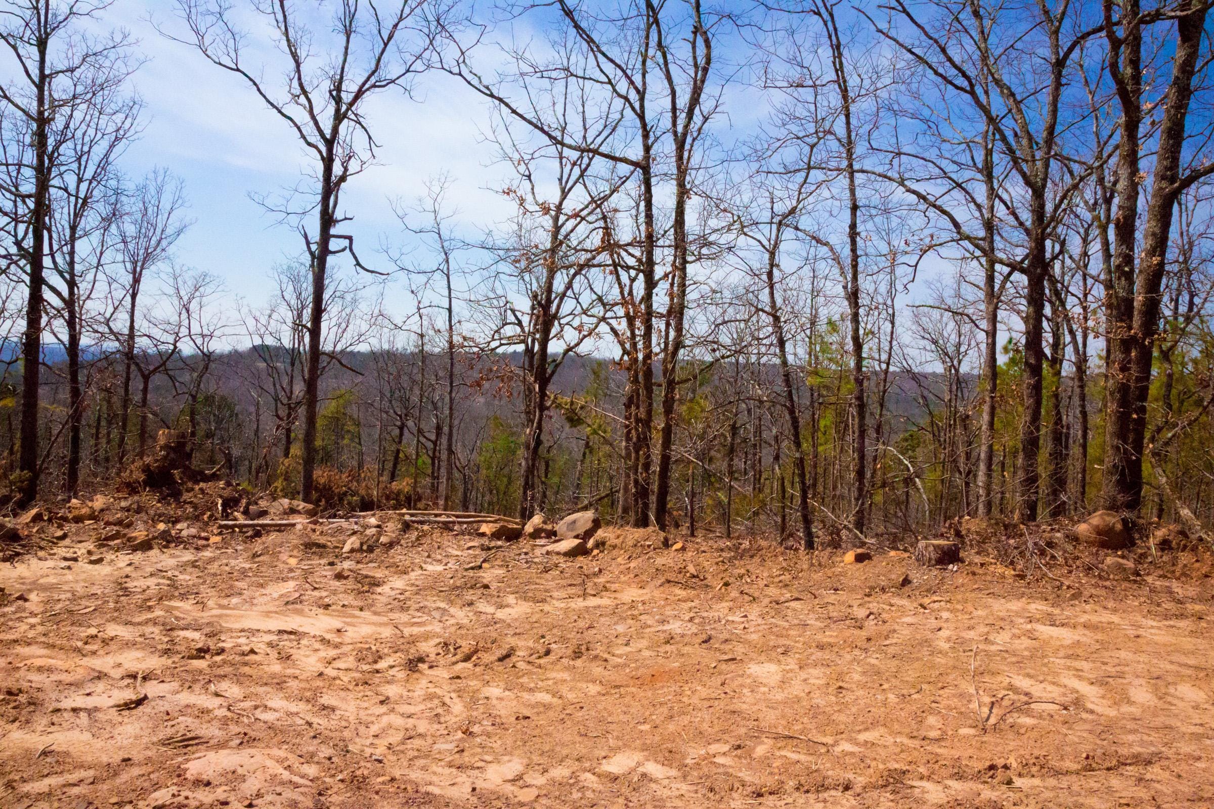 Stone Creek Phase II Tract 100 photo 7