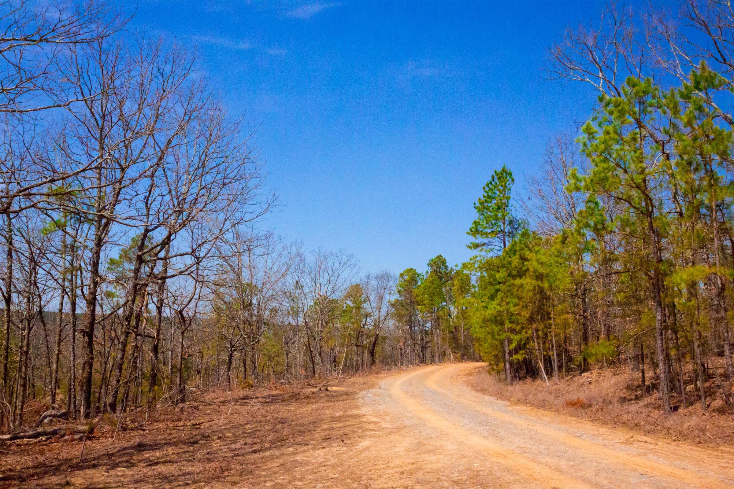 Stone Creek Phase II Tract 100 photo 8