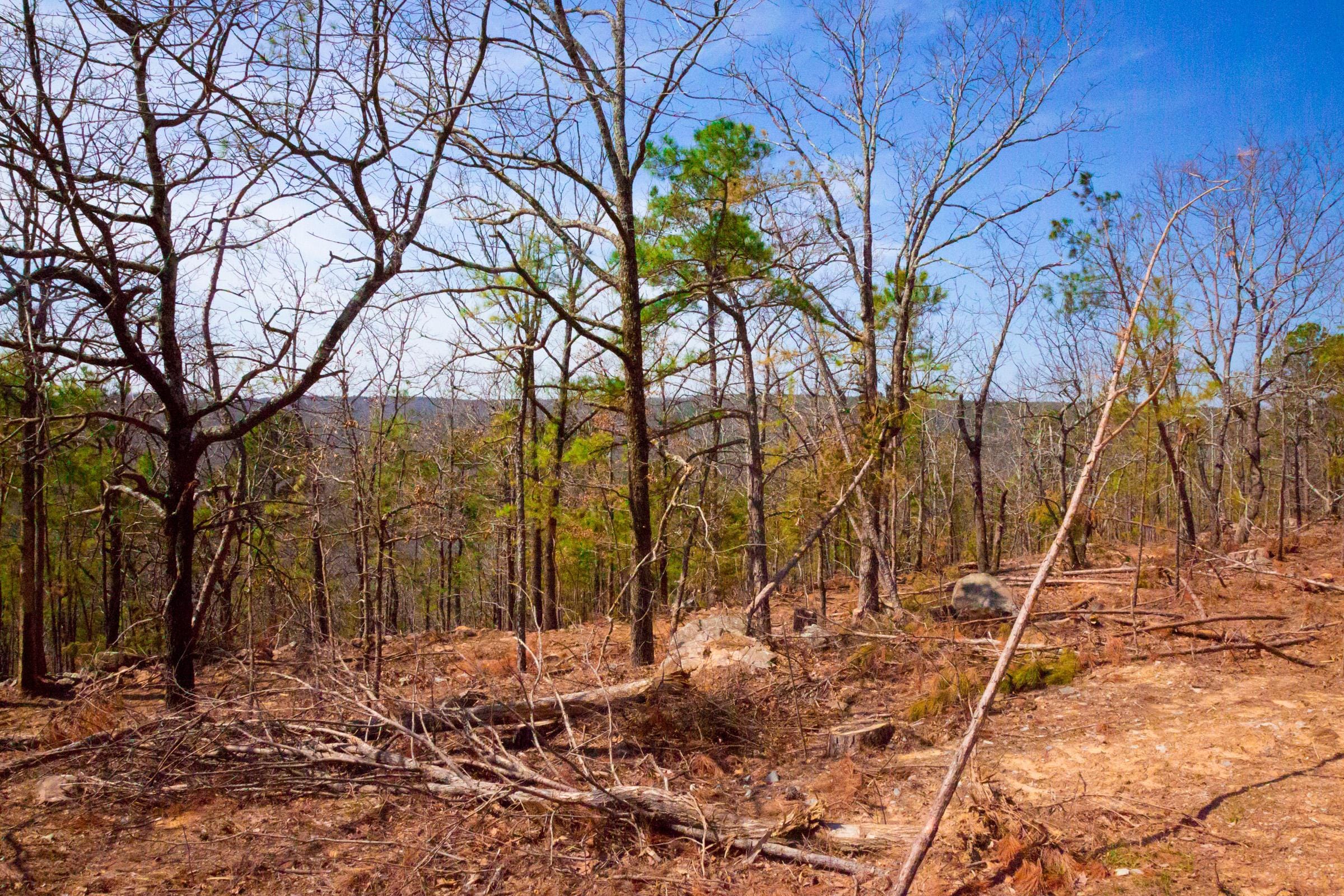 Stone Creek Phase II Tract 100 photo 9