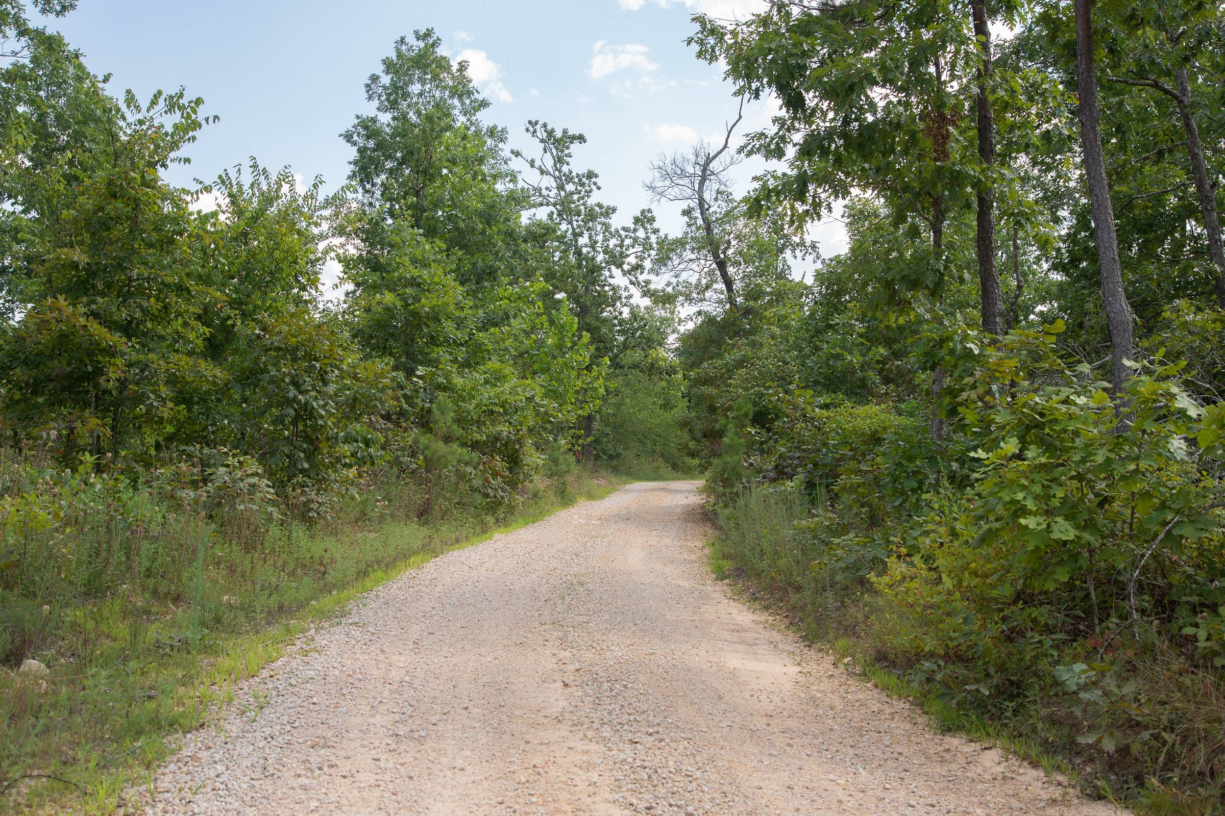 Borgmann’s Hollow Phase I Tract 19 photo 1