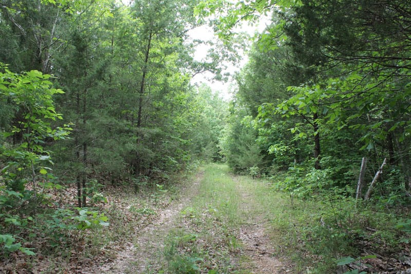 Cedar Ridge Ranch Tract 37 photo 1