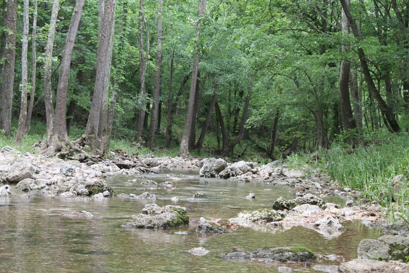 Cedar Ridge Ranch Tract 37 photo 8