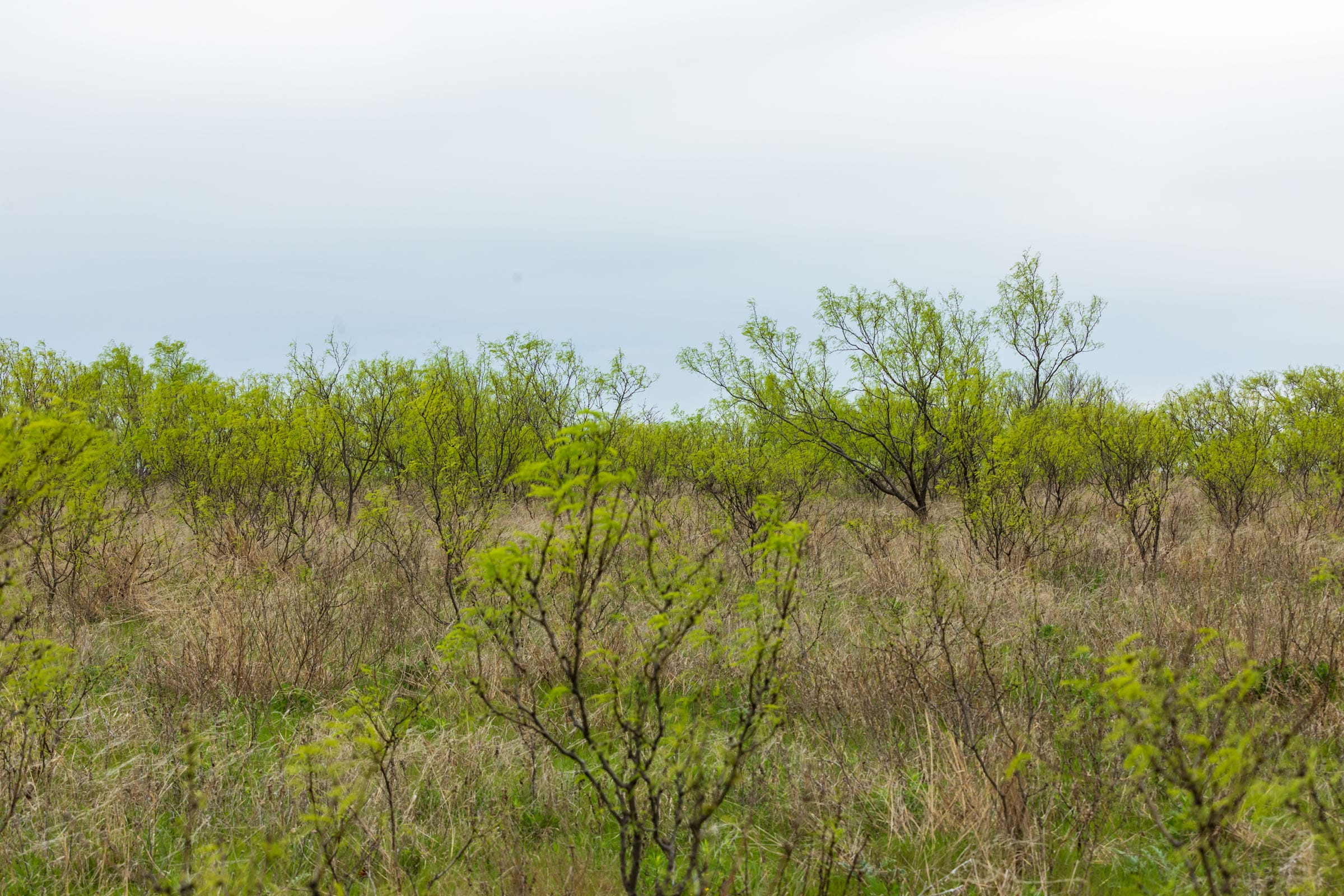 Granite Valley Tract 8 photo 18