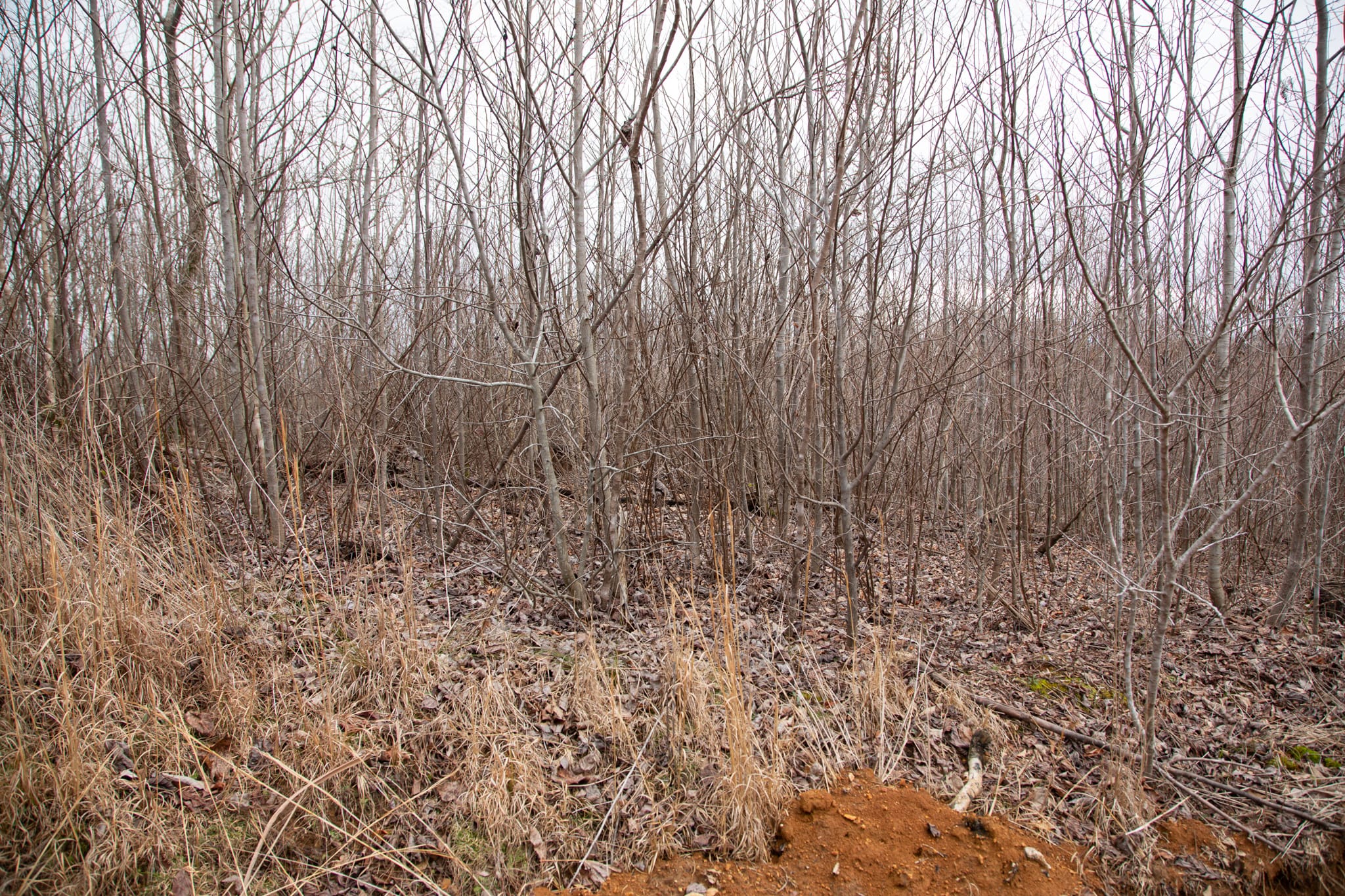 Southwind Ranch Tract 24 photo 2
