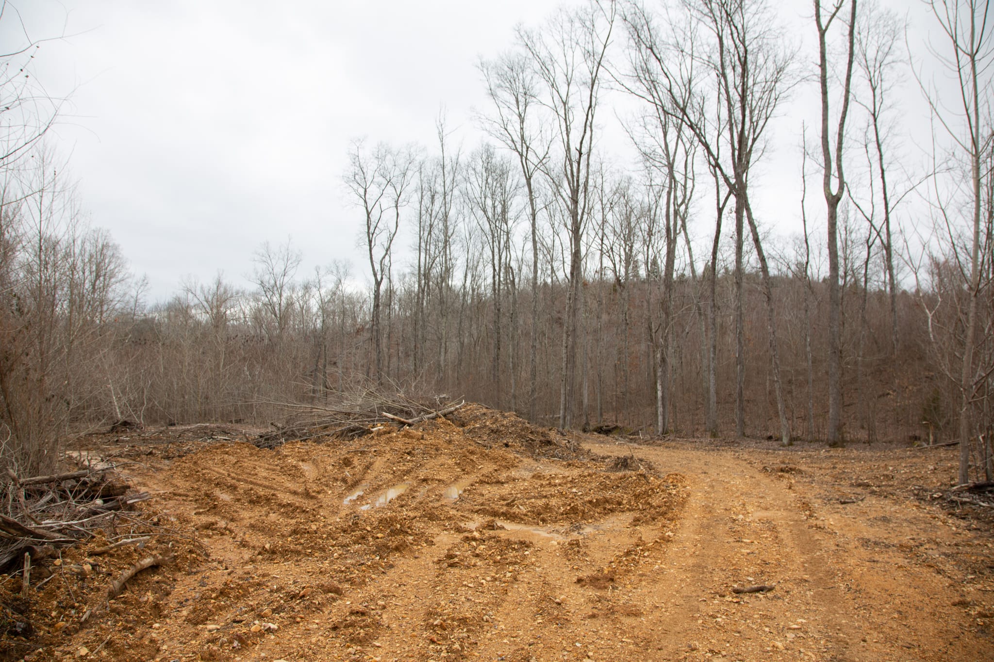 Southwind Ranch Tract 24 photo 5