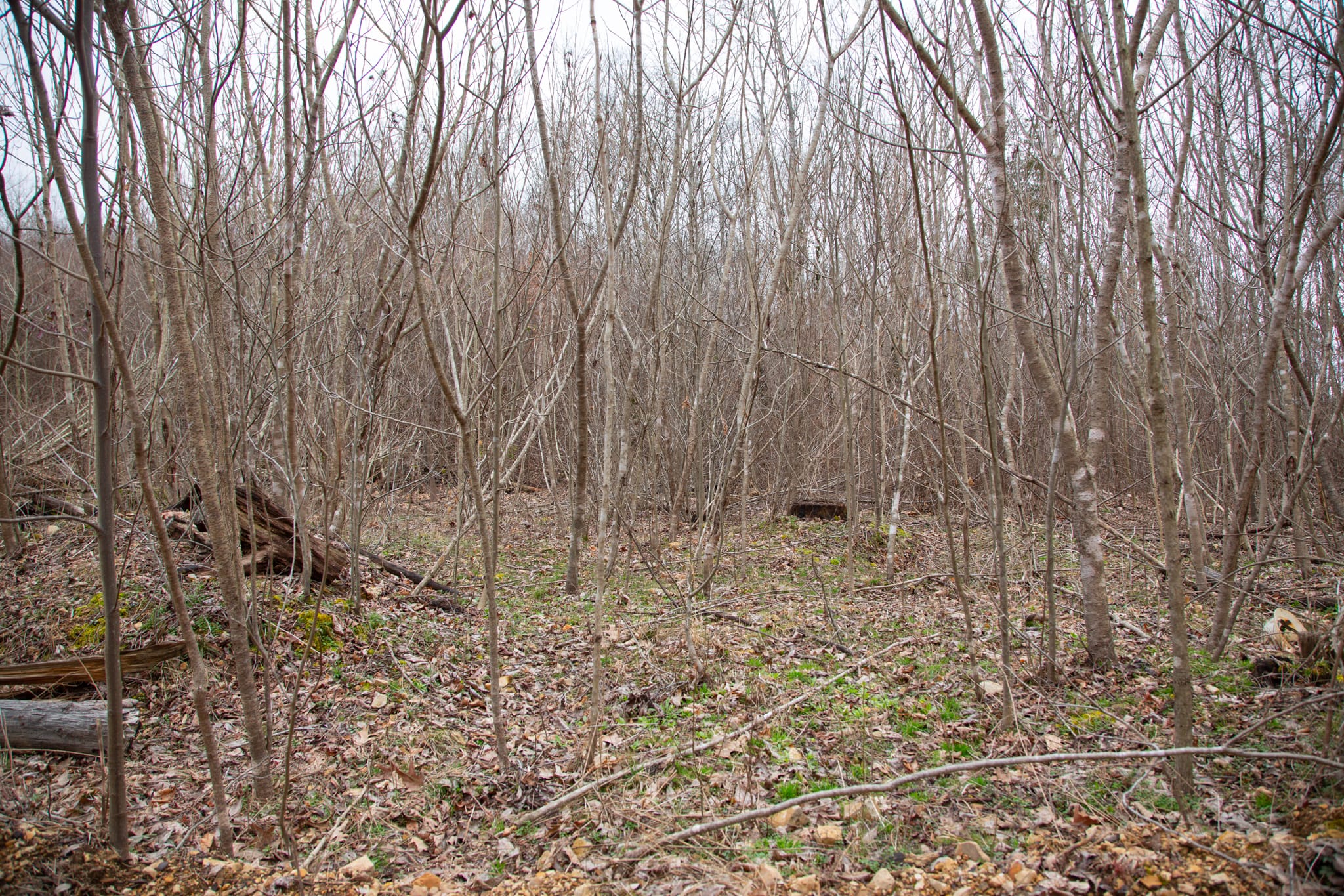 Southwind Ranch Tract 24 photo 11