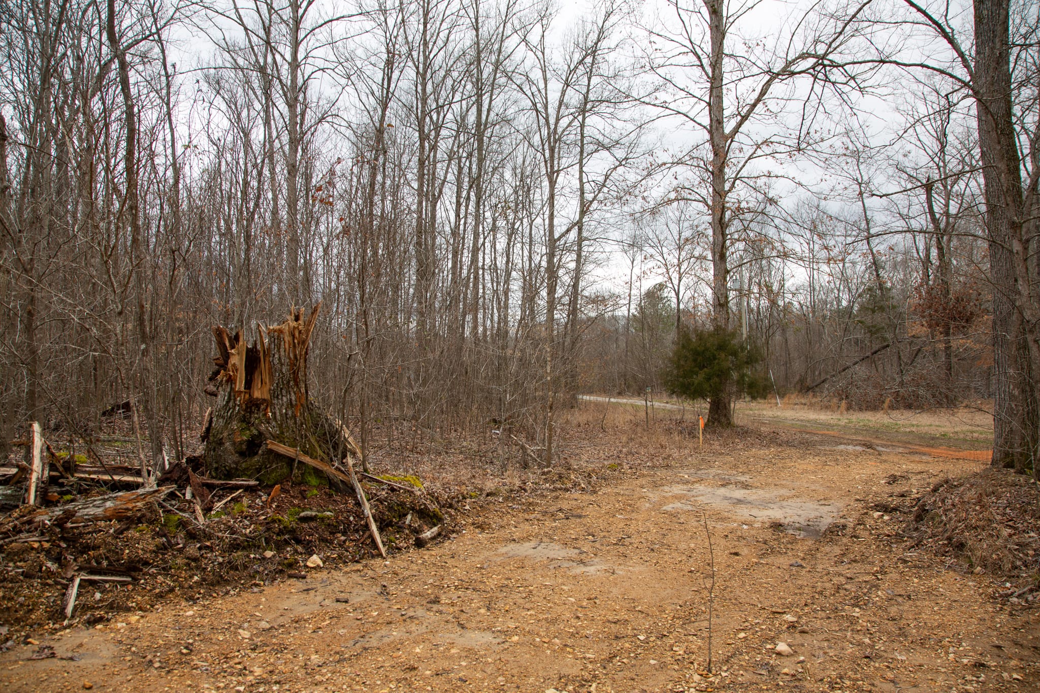 Southwind Ranch Tract 24 photo 12