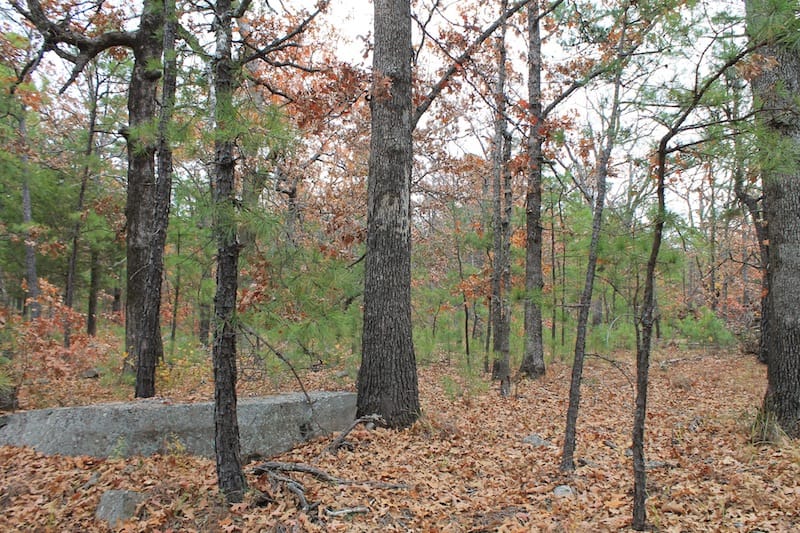 Indian Ridge – Phase I Tract 1 photo 3