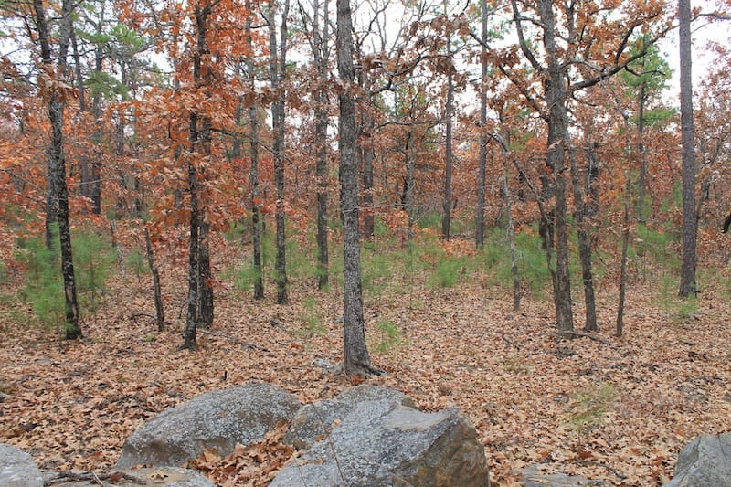 Indian Ridge – Phase I Tract 1 photo 4