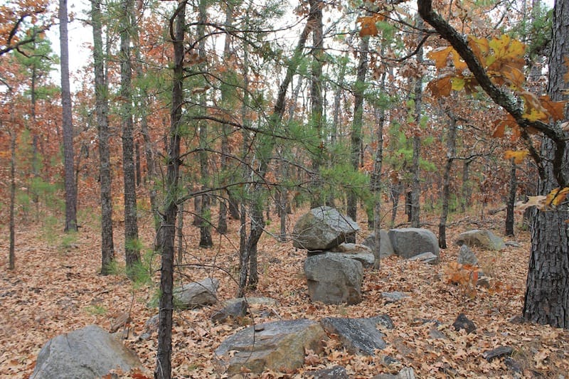 Indian Ridge – Phase I Tract 1 photo 5