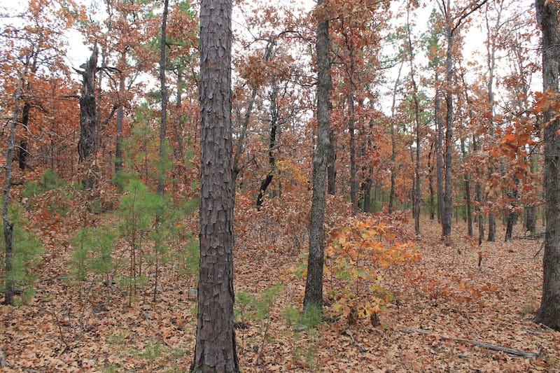 Indian Ridge – Phase I Tract 1 photo 6