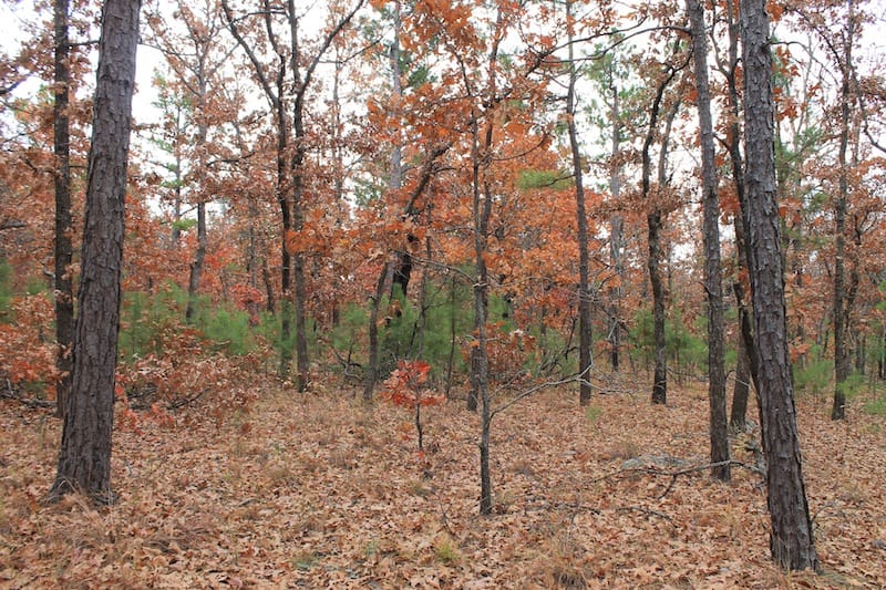 Indian Ridge – Phase I Tract 1 photo 8