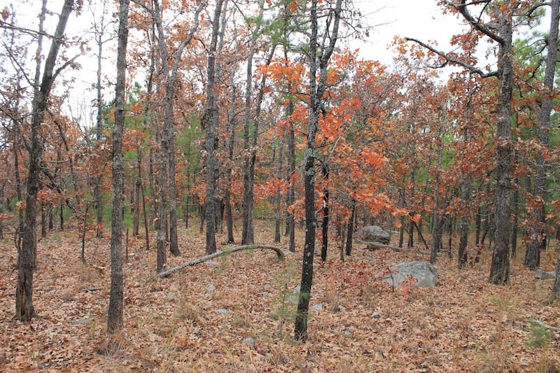 Indian Ridge – Phase I Tract 1 photo 9