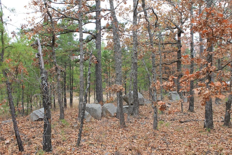 Indian Ridge – Phase I Tract 1 photo 10