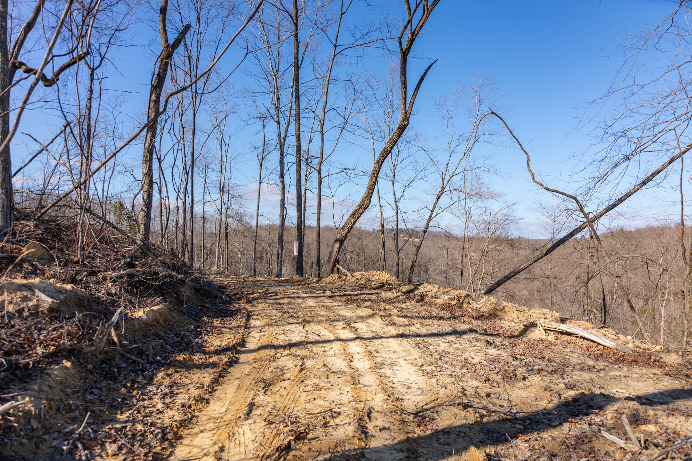 Creek Hollow Phase I Tract 13 photo 3