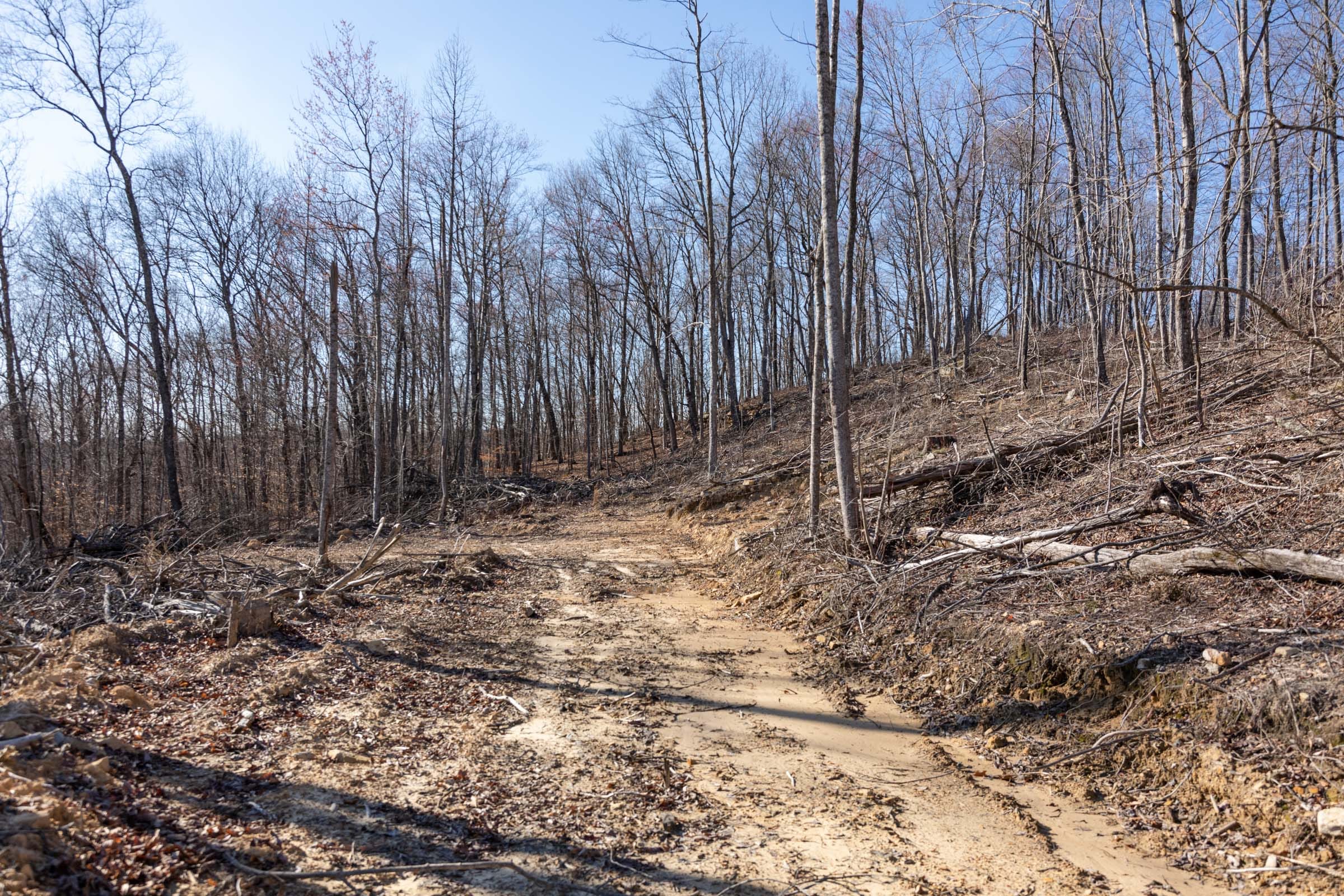 Creek Hollow Phase I Tract 13 photo 5