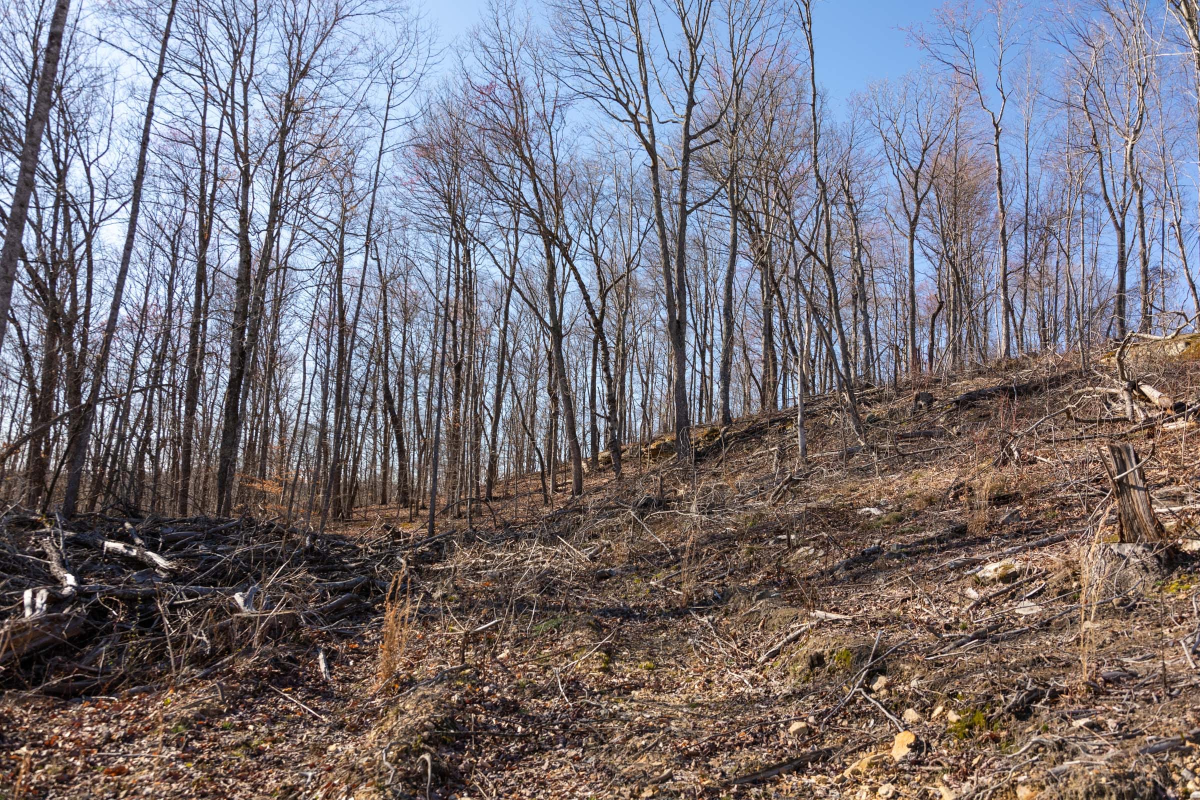 Creek Hollow Phase I Tract 13 photo 6