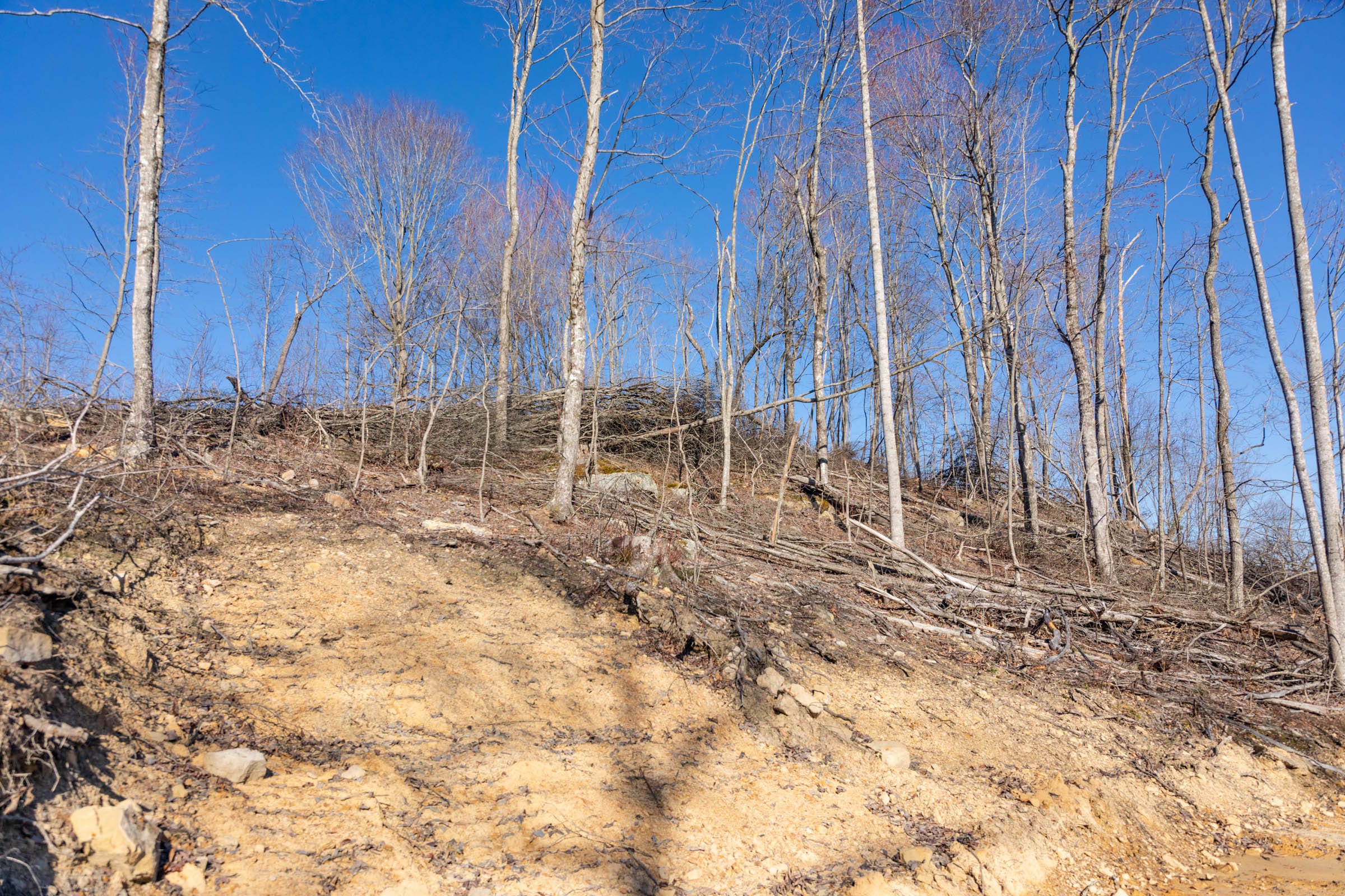 Creek Hollow Phase I Tract 13 photo 7
