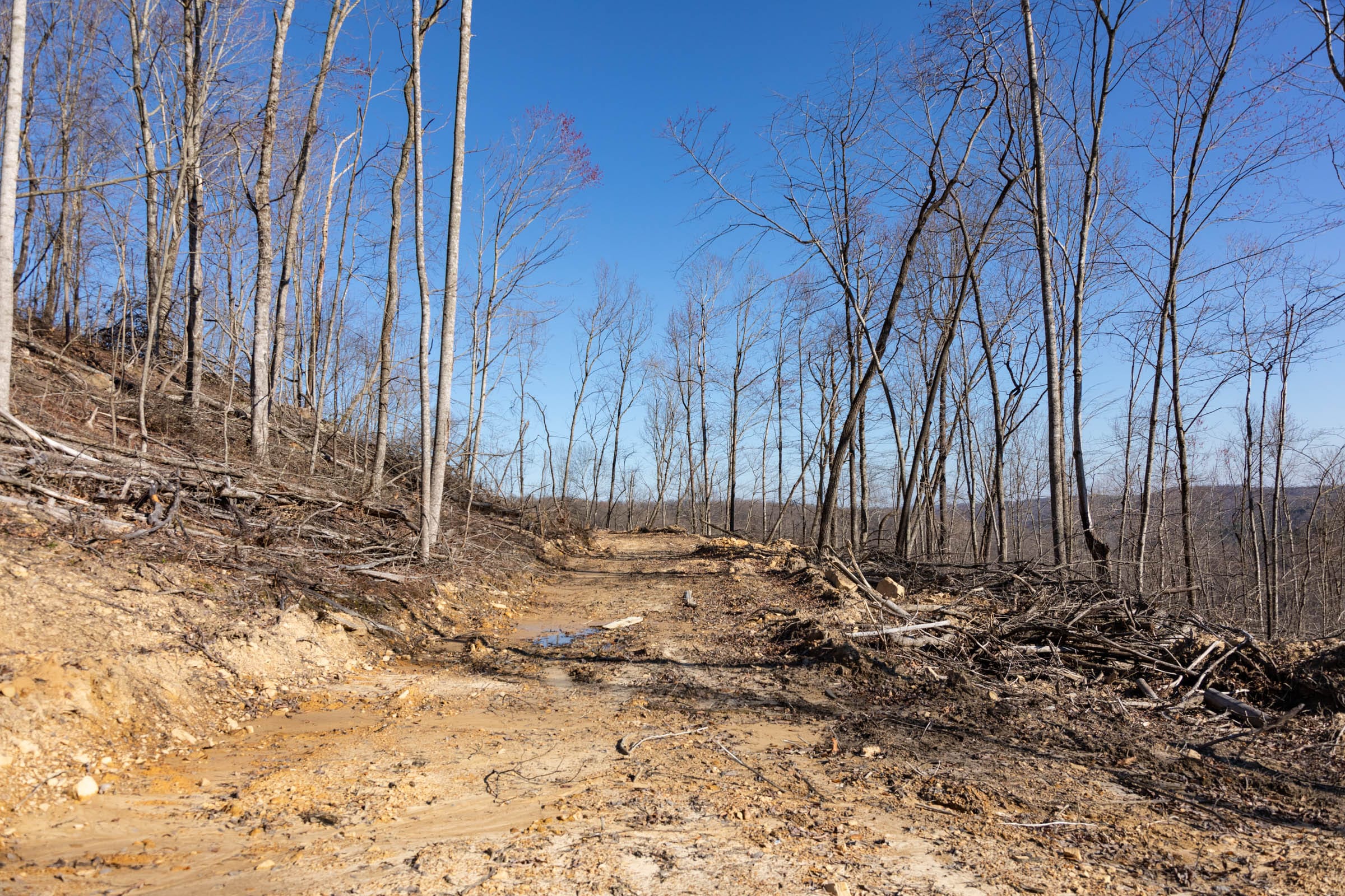 Creek Hollow Phase I Tract 13 photo 1