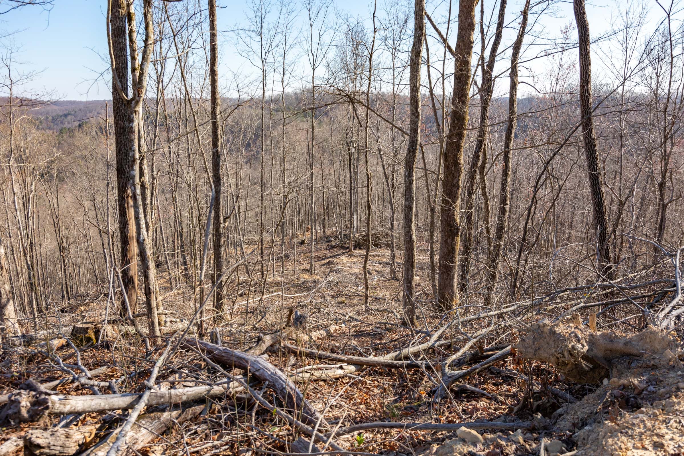 Creek Hollow Phase I Tract 13 photo 8