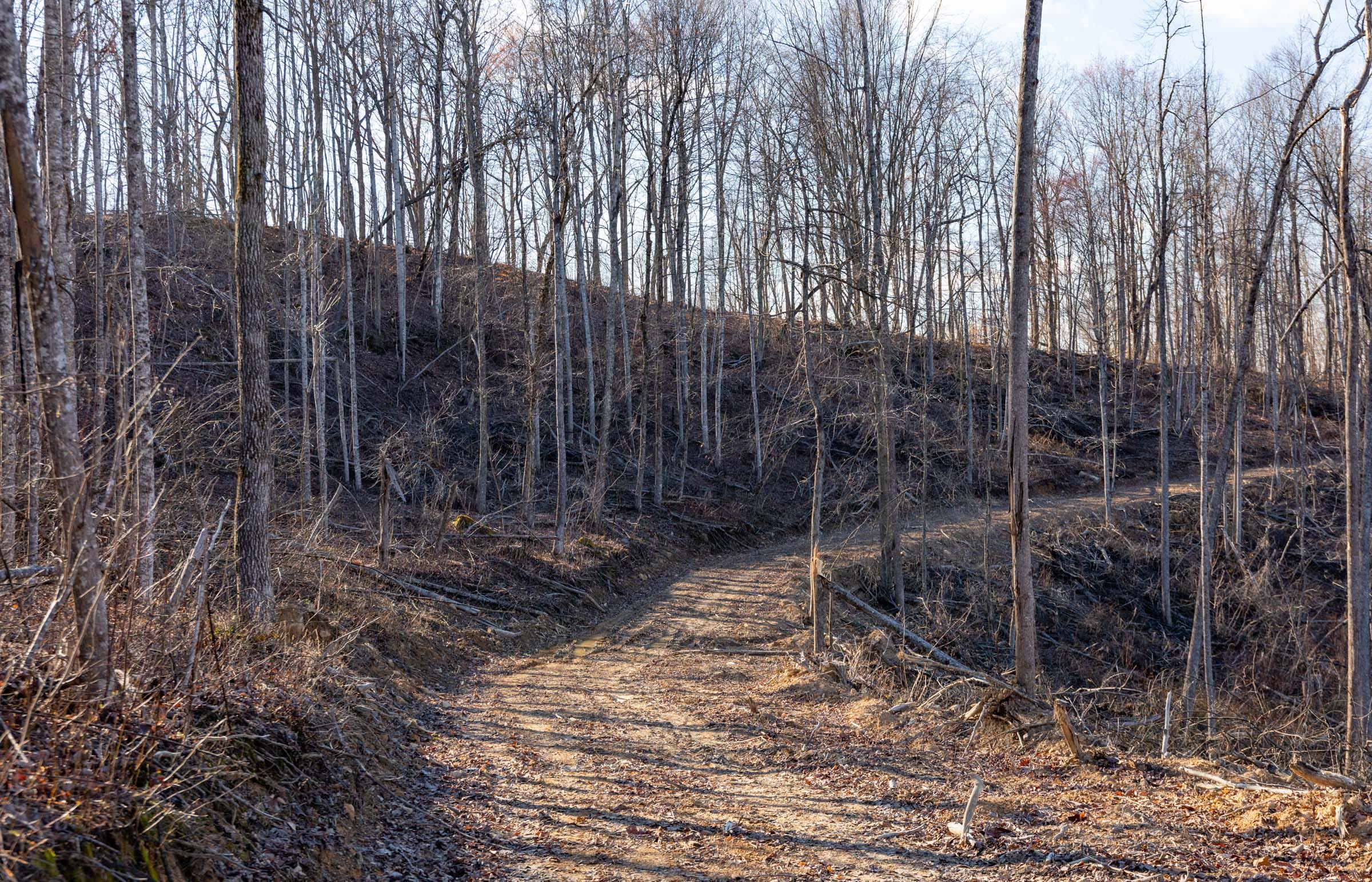 Creek Hollow Phase I Tract 13 photo 9