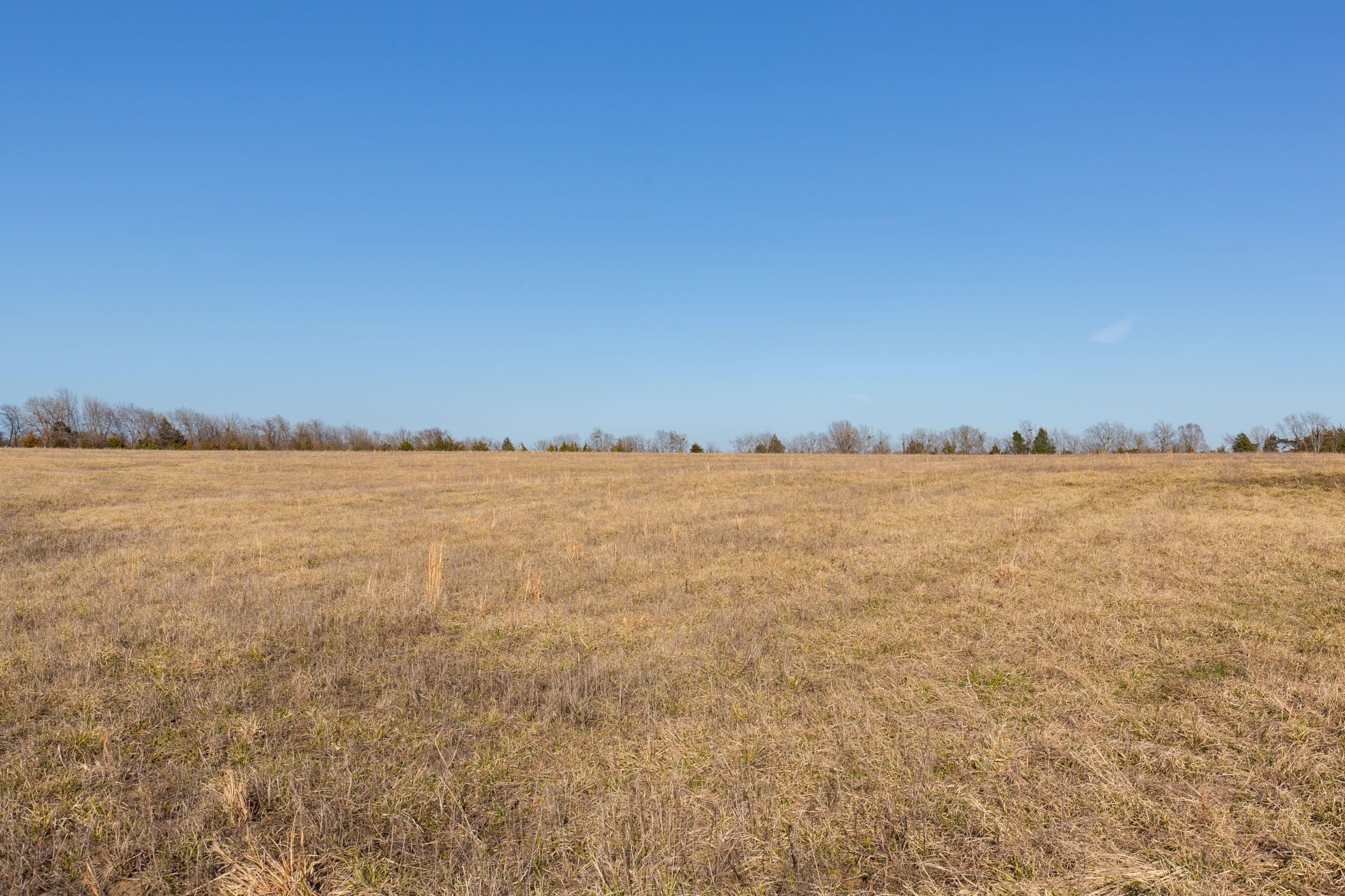 Wishing Star Ranch Tract 74 photo 2