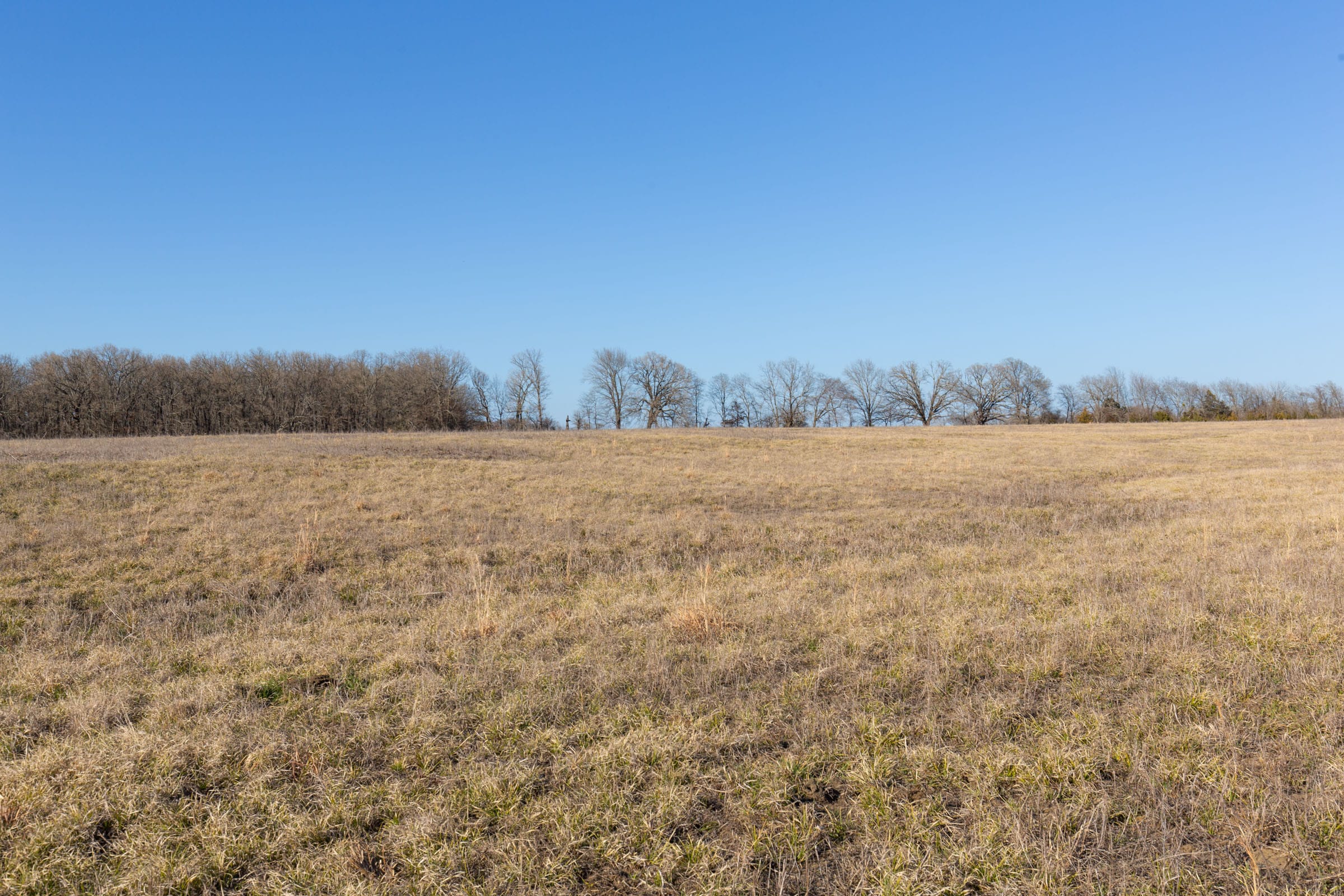 Wishing Star Ranch Tract 74 photo 3