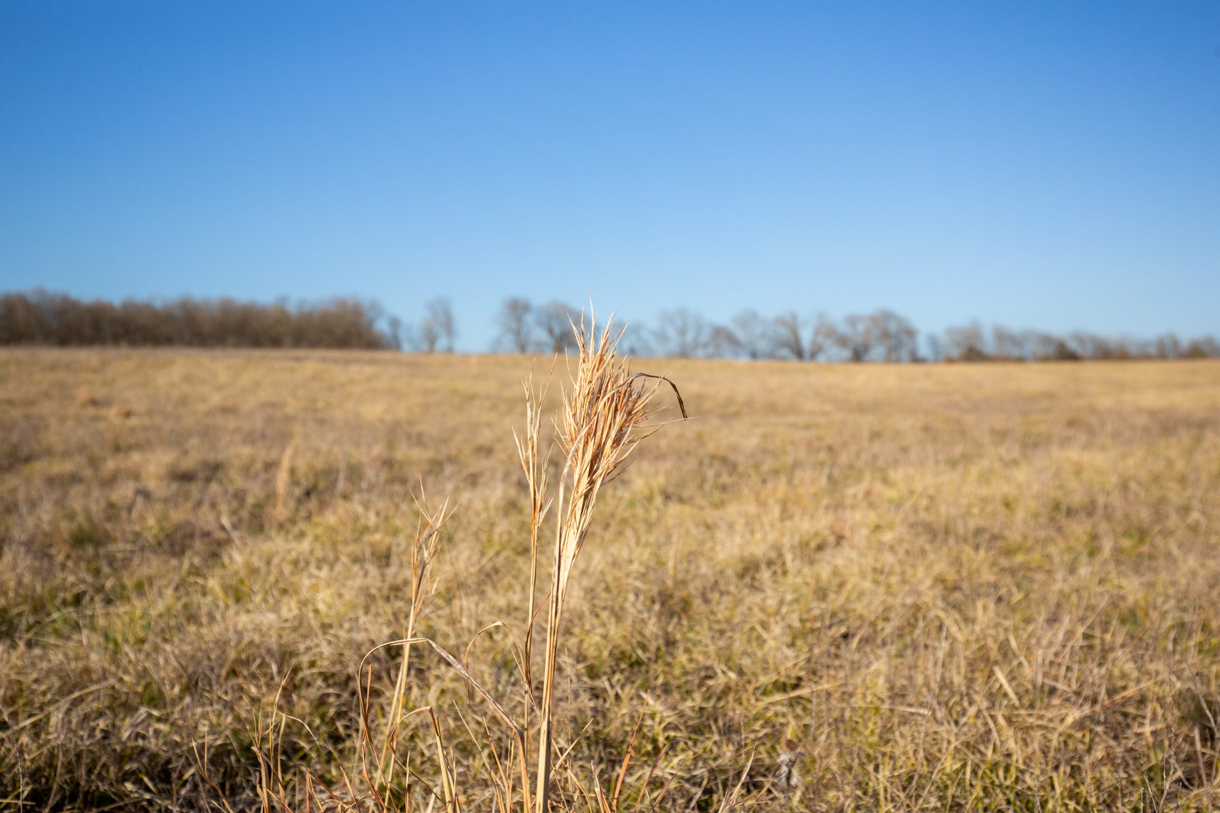 Wishing Star Ranch Tract 74 photo 4