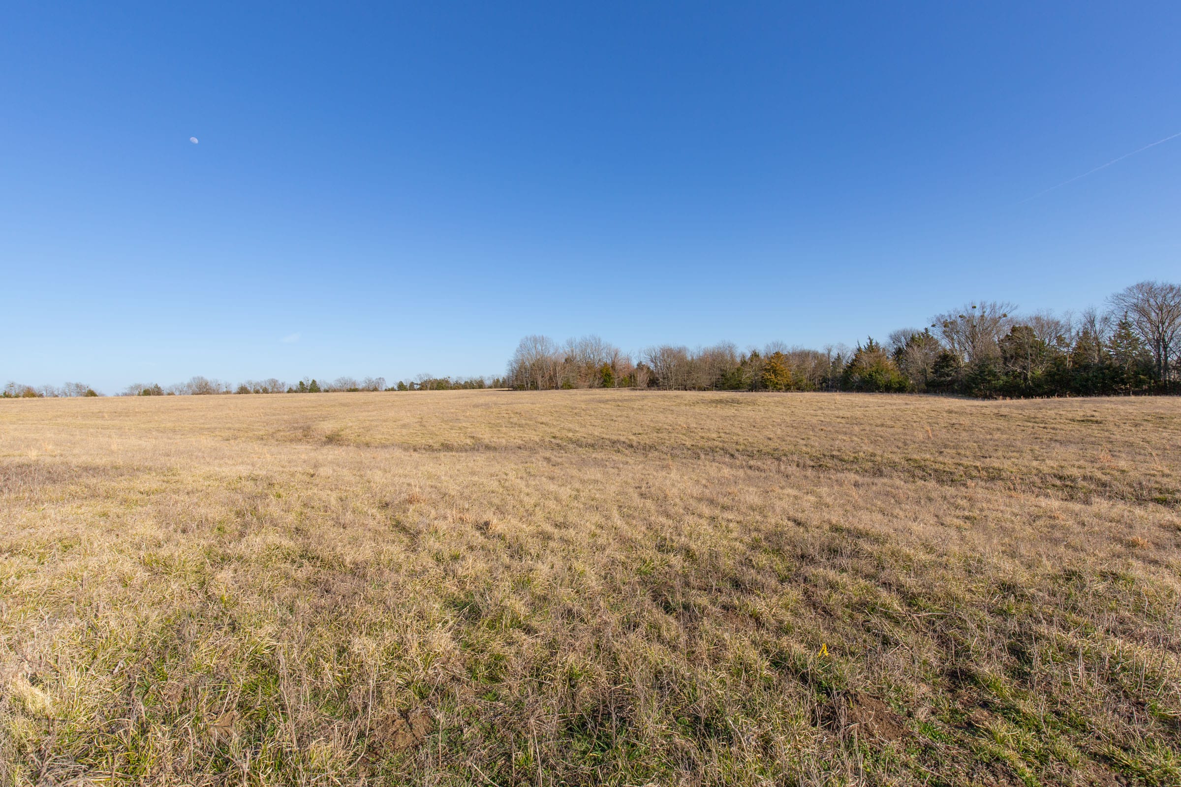Wishing Star Ranch Tract 74 photo 5