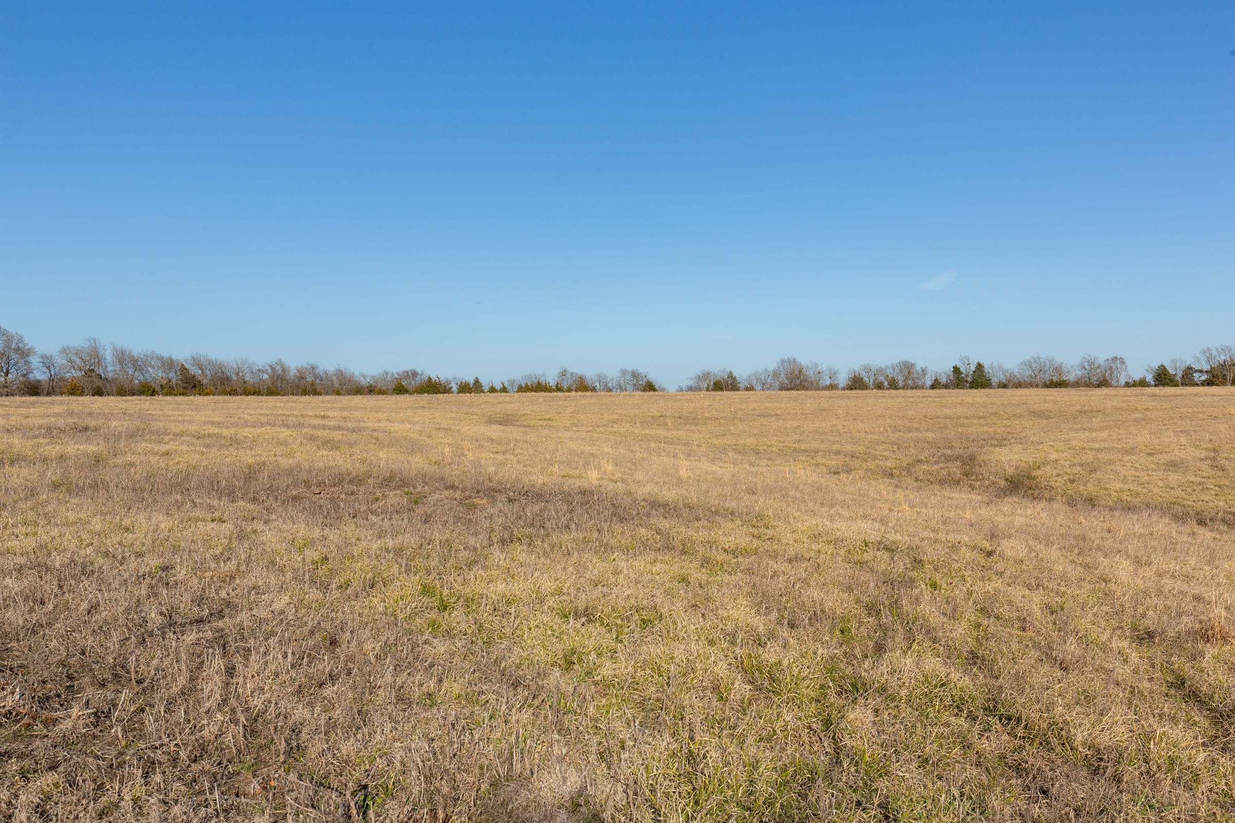 Wishing Star Ranch Tract 74 photo 6