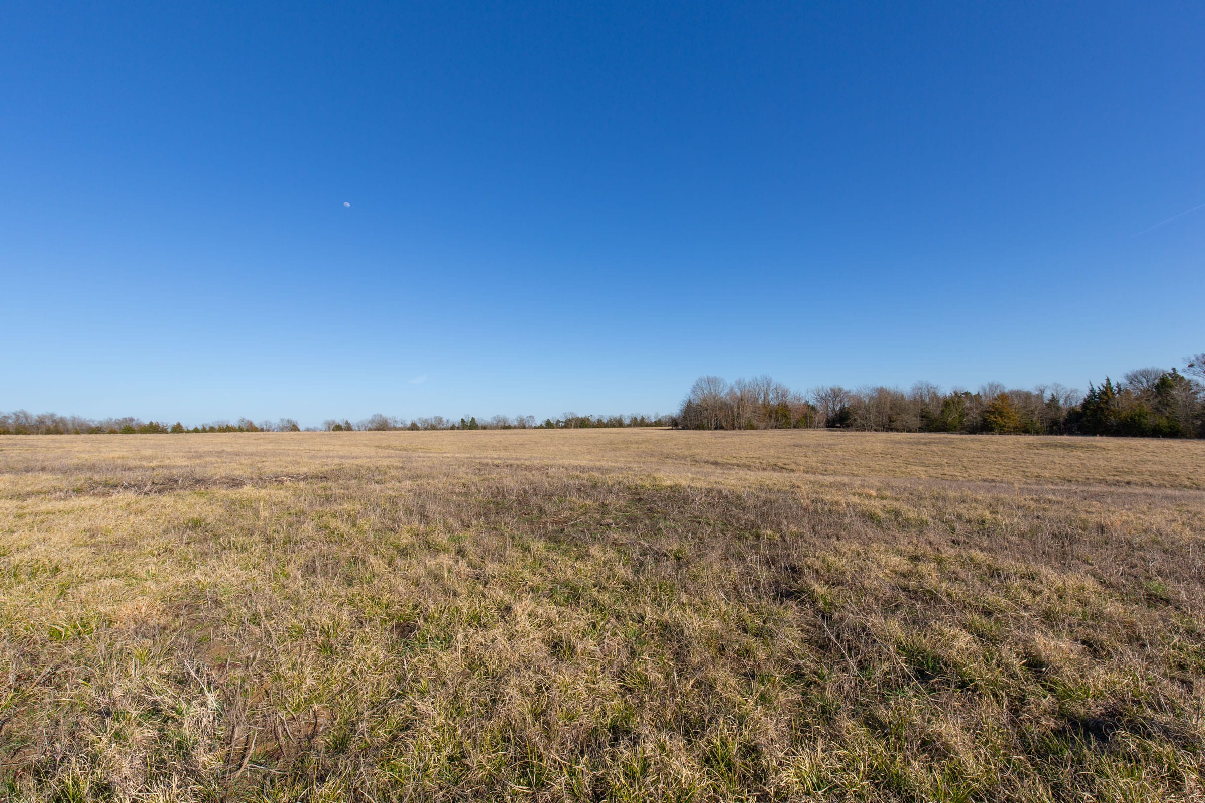 Wishing Star Ranch Tract 74 photo 8
