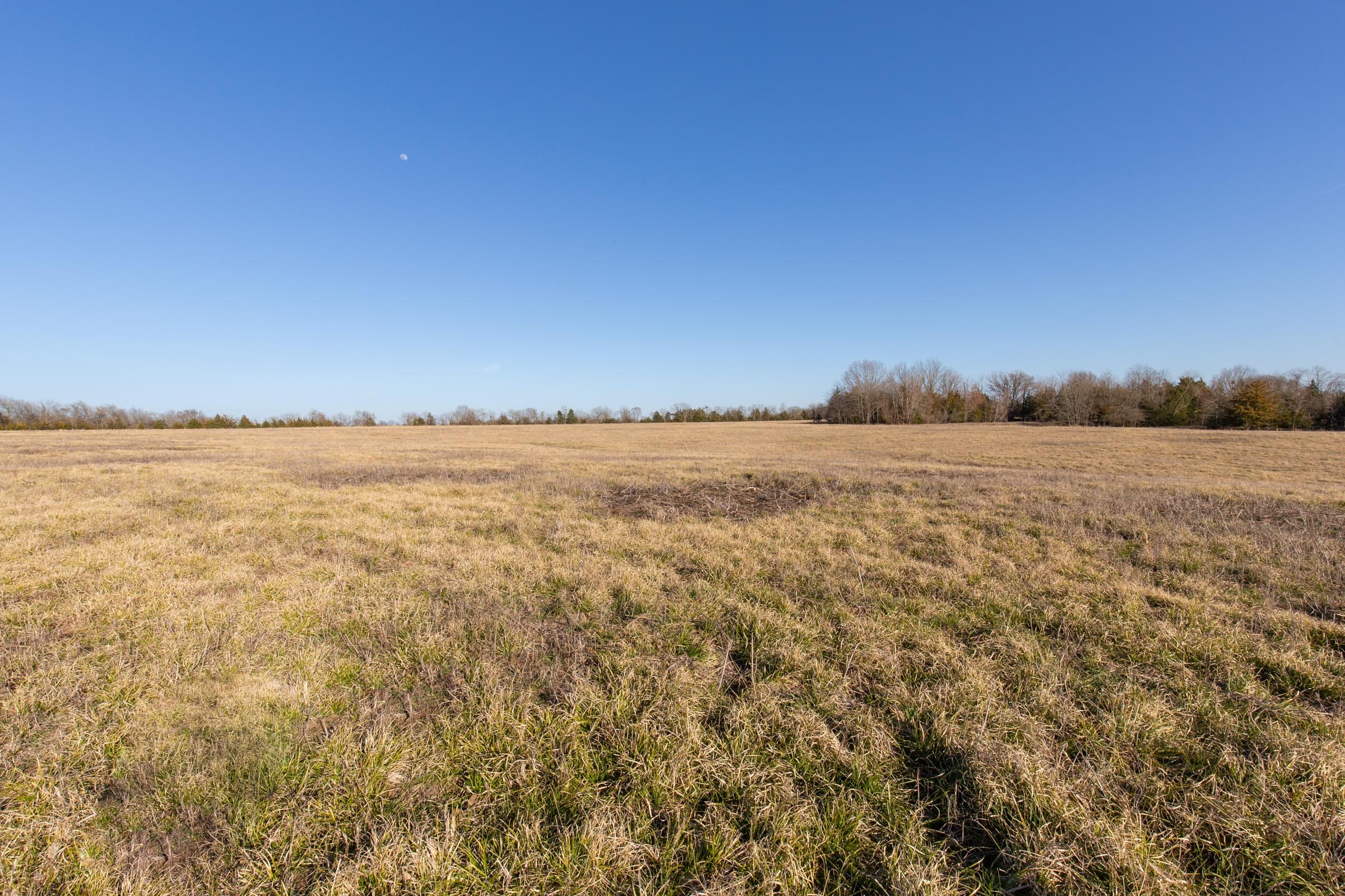 Wishing Star Ranch Tract 74 photo 10