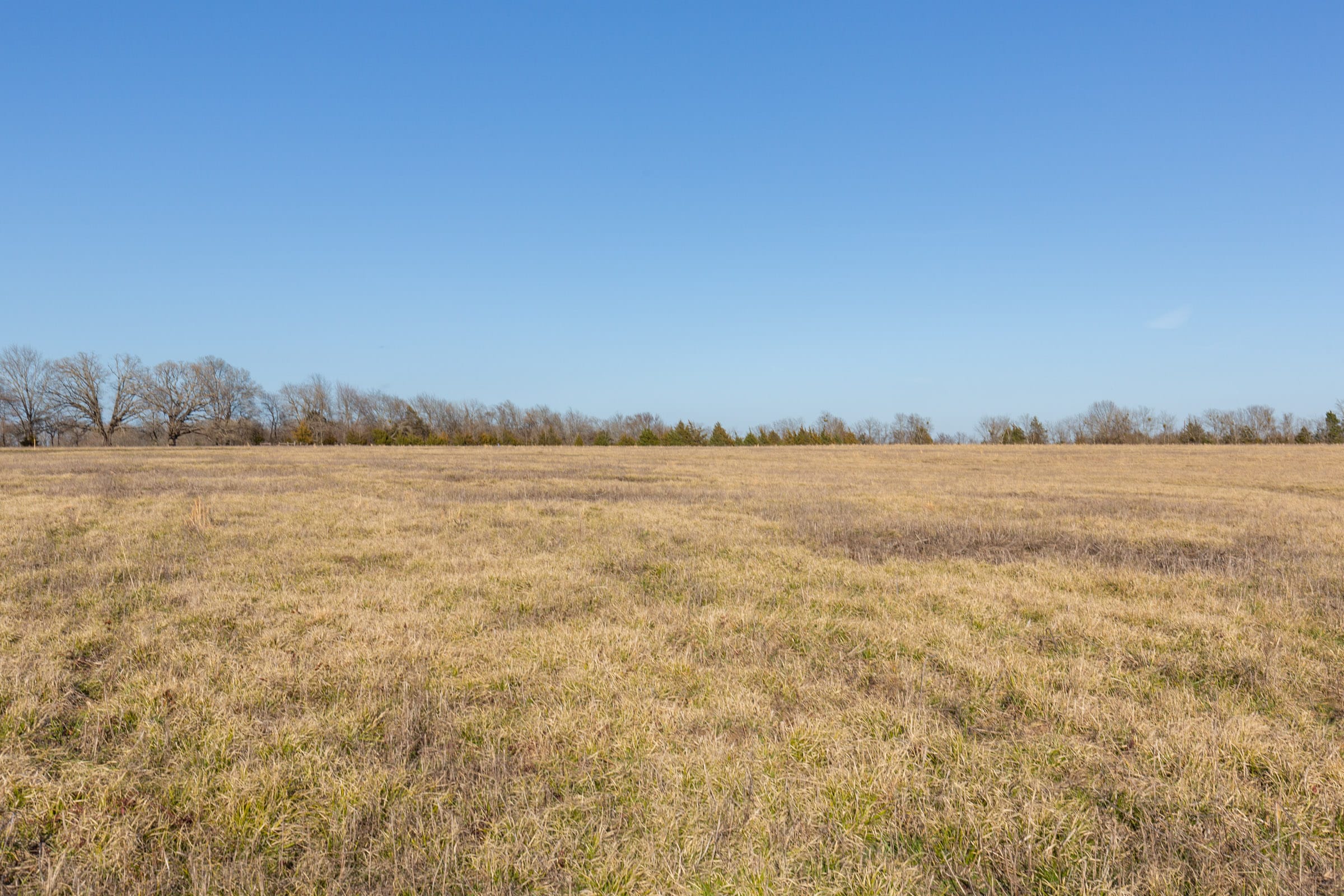 Wishing Star Ranch Tract 74 photo 11