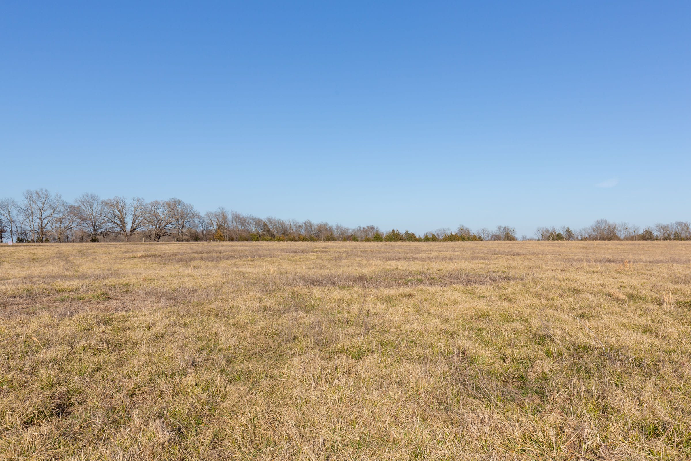 Wishing Star Ranch Tract 74 photo 12