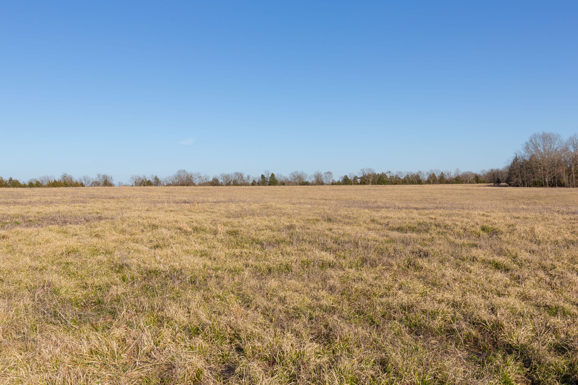 Wishing Star Ranch Tract 74 photo 13