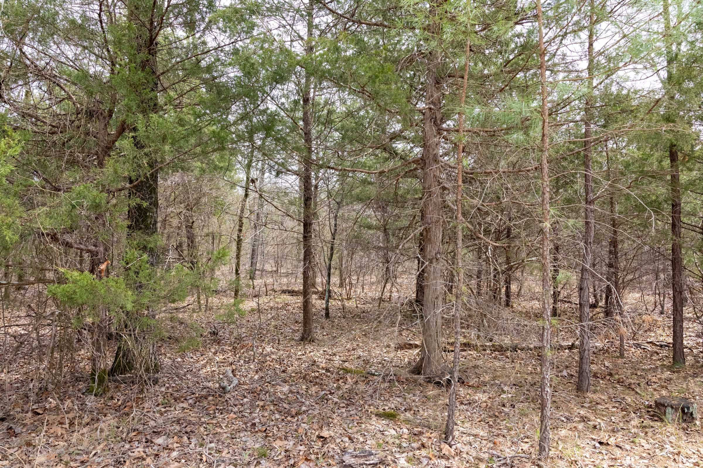 Stone Bridge Phase III Tract 167 photo 3